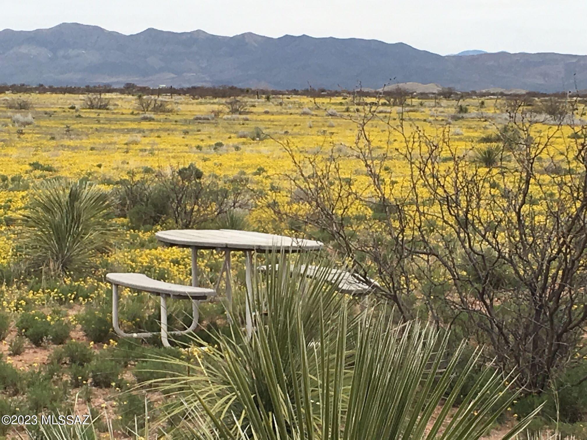 Out Of Pima County - Land