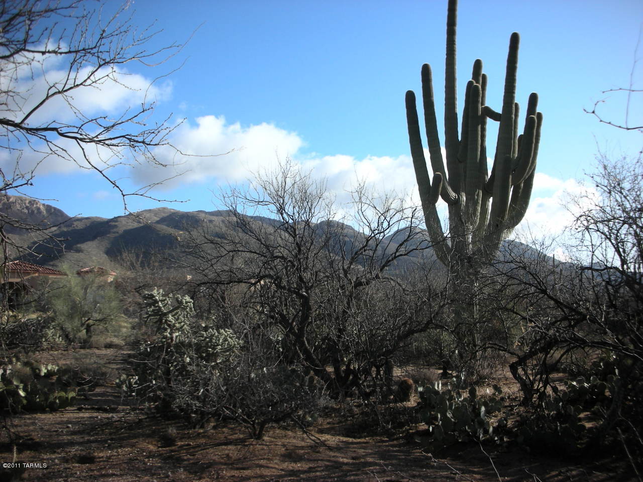 Snyder Creek Canyon (1-29) - Land