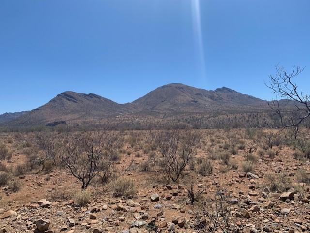 Tubac Foothills Ranch - Land