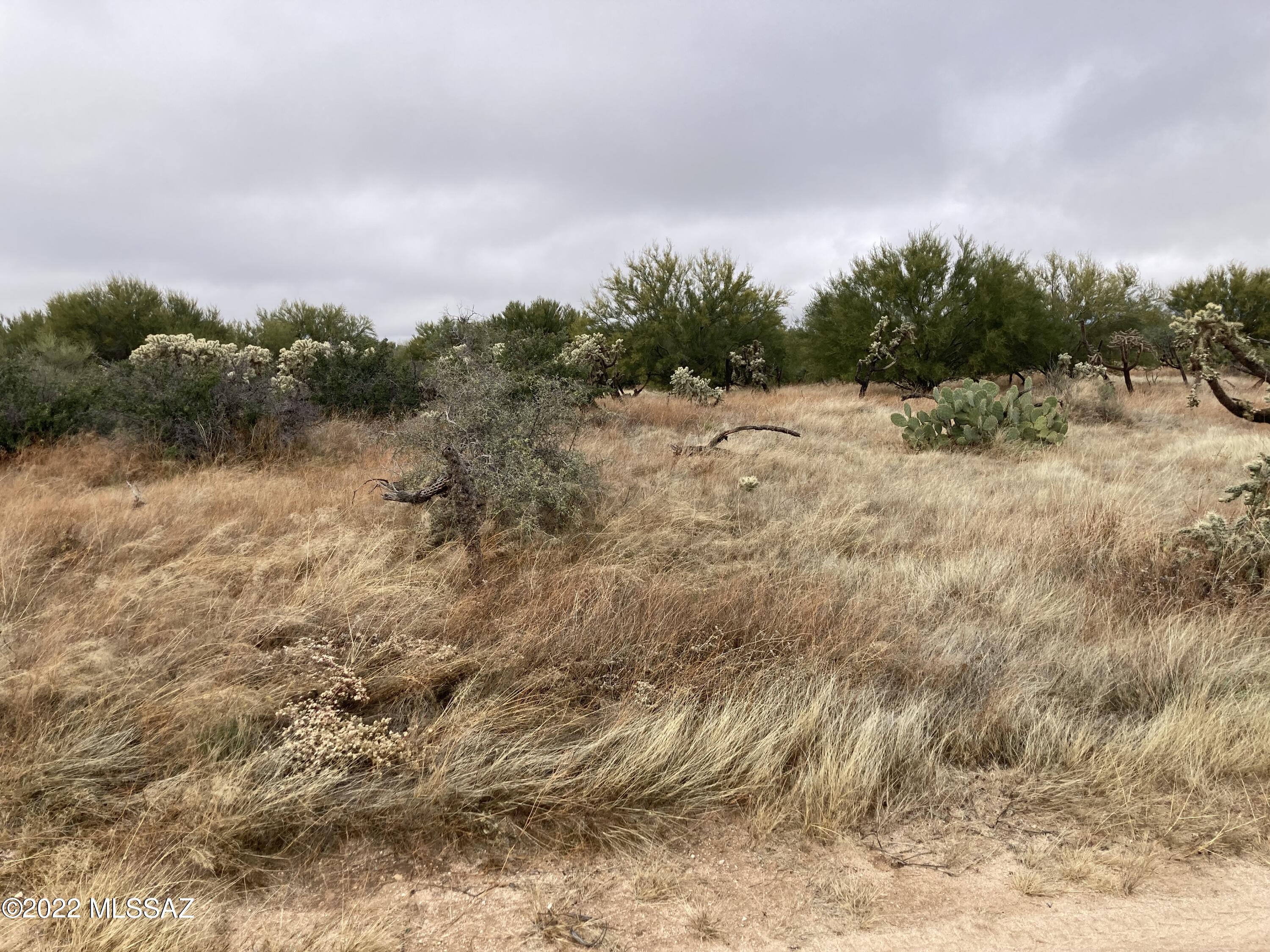 Level one acre parcel - natural desert - ready for site built or manufactured home - dirt roads throughout area - very rural.  Electrical and water company at the street