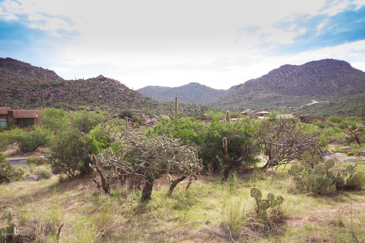 Canyon Pass At Dove Mountain - Land