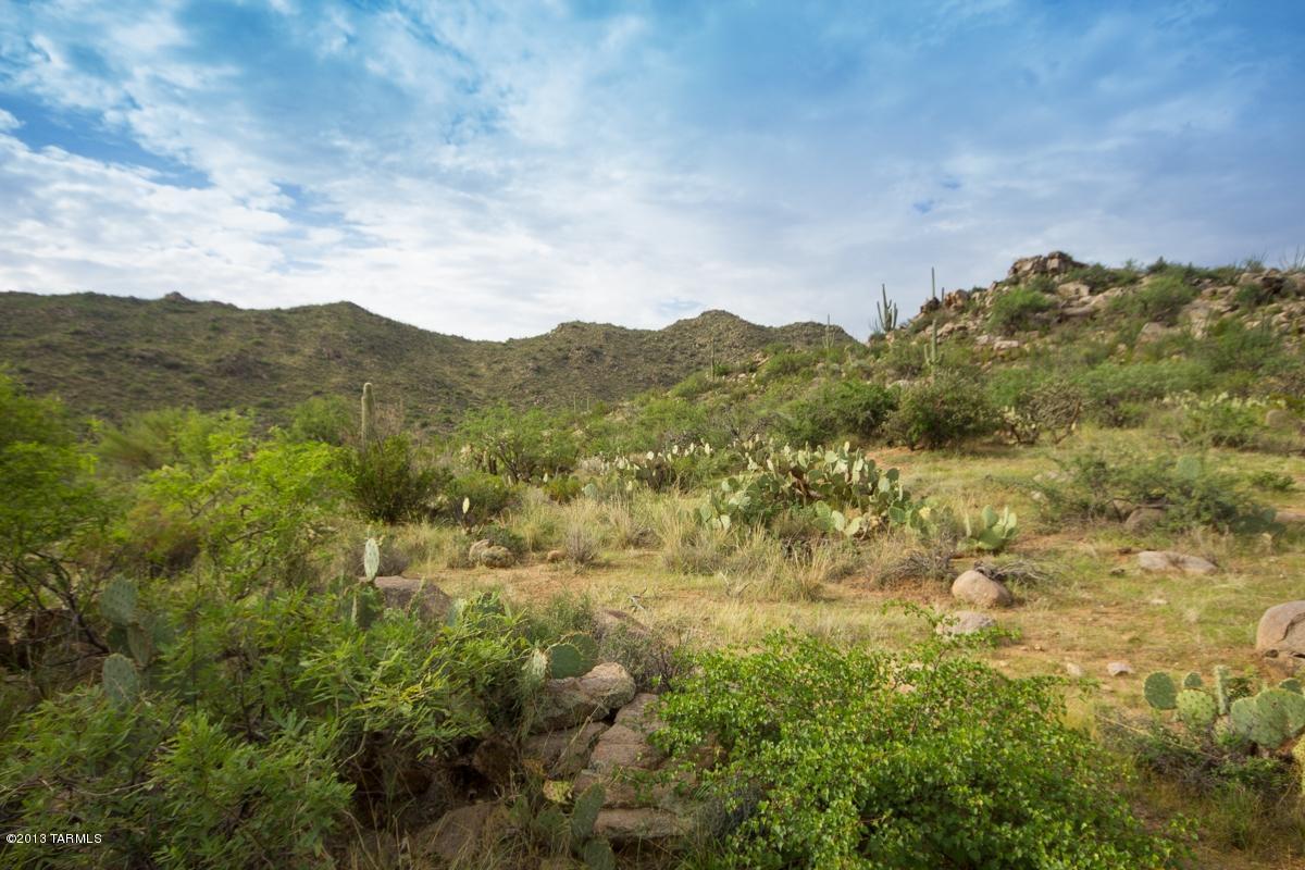 Canyon Pass At Dove Mountain - Land