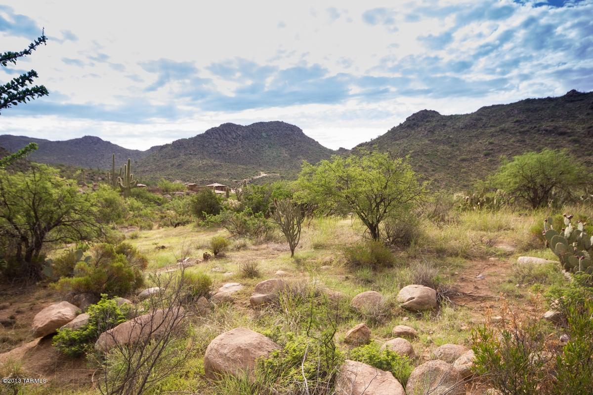Canyon Pass At Dove Mountain - Land