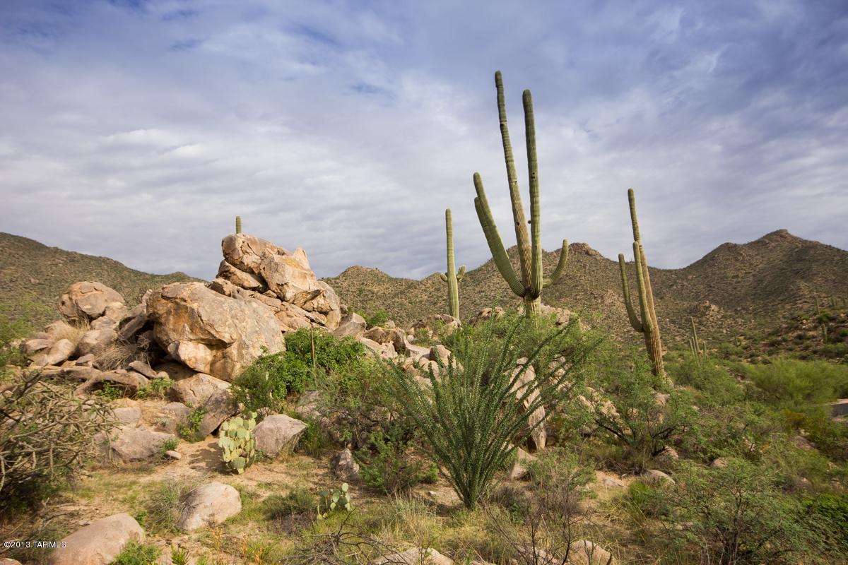 Canyon Pass At Dove Mountain - Land