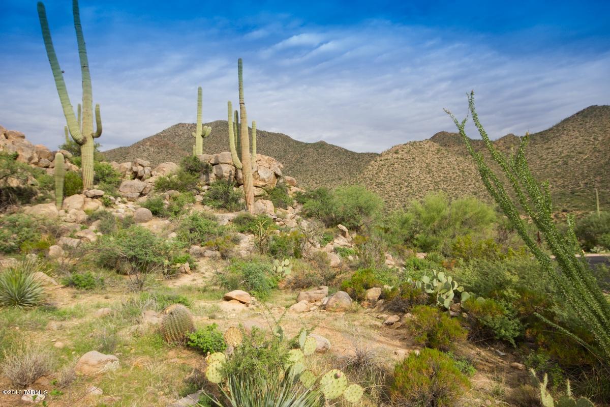 Canyon Pass At Dove Mountain - Land
