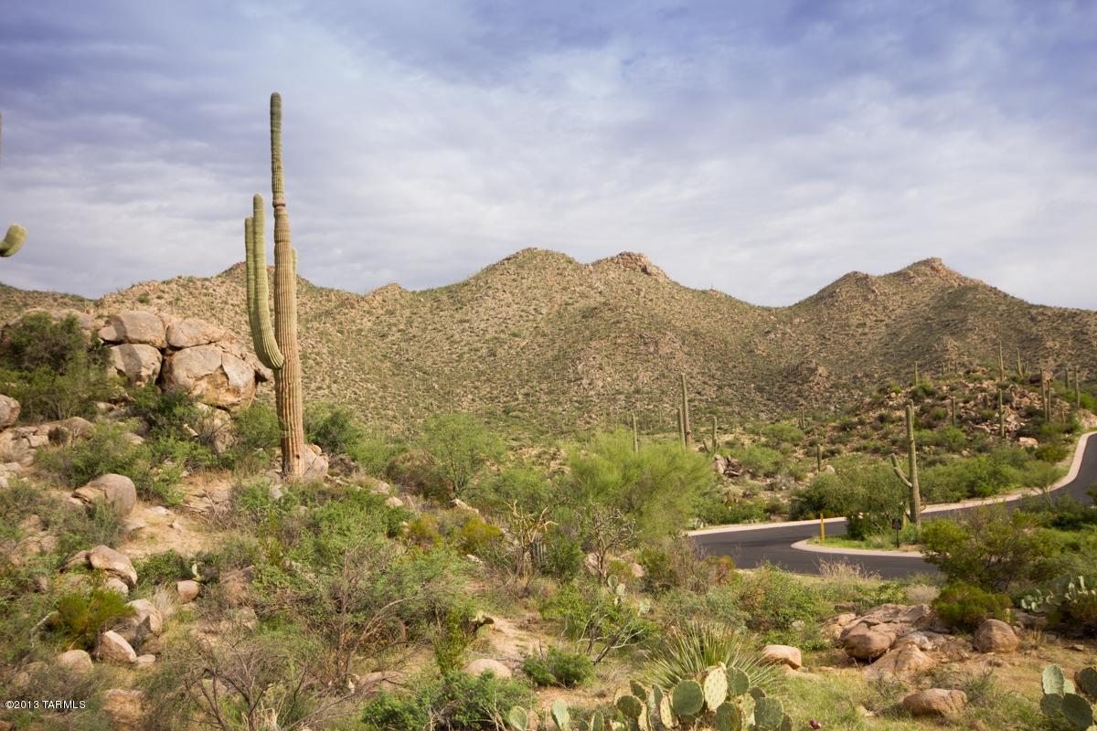 Canyon Pass At Dove Mountain - Land