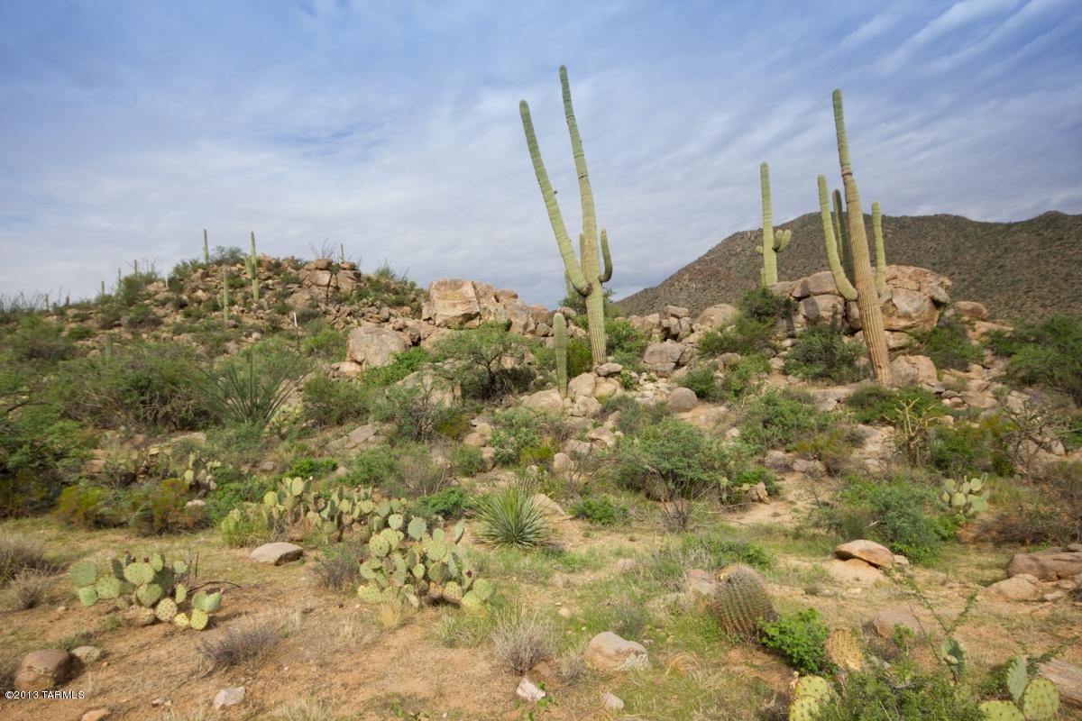 Canyon Pass At Dove Mountain - Land