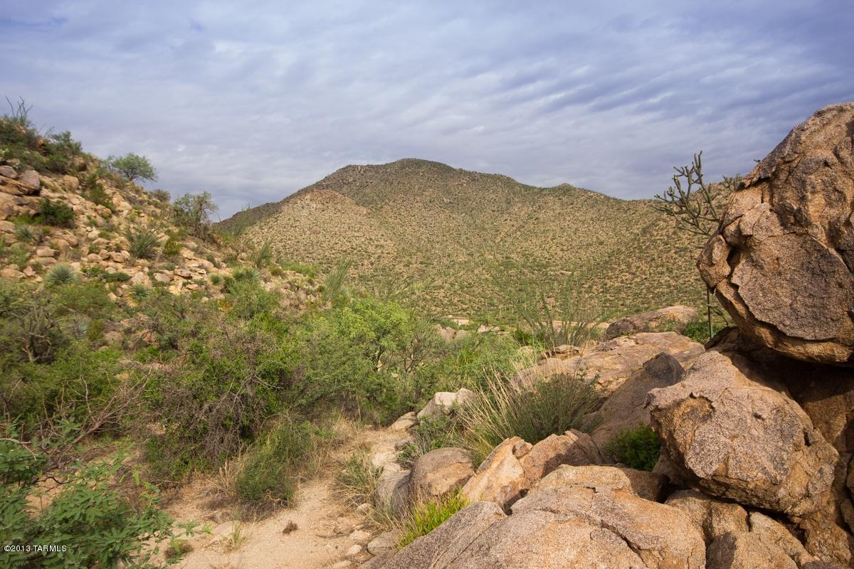 Canyon Pass At Dove Mountain - Land