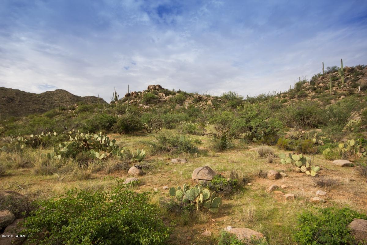 Canyon Pass At Dove Mountain - Land