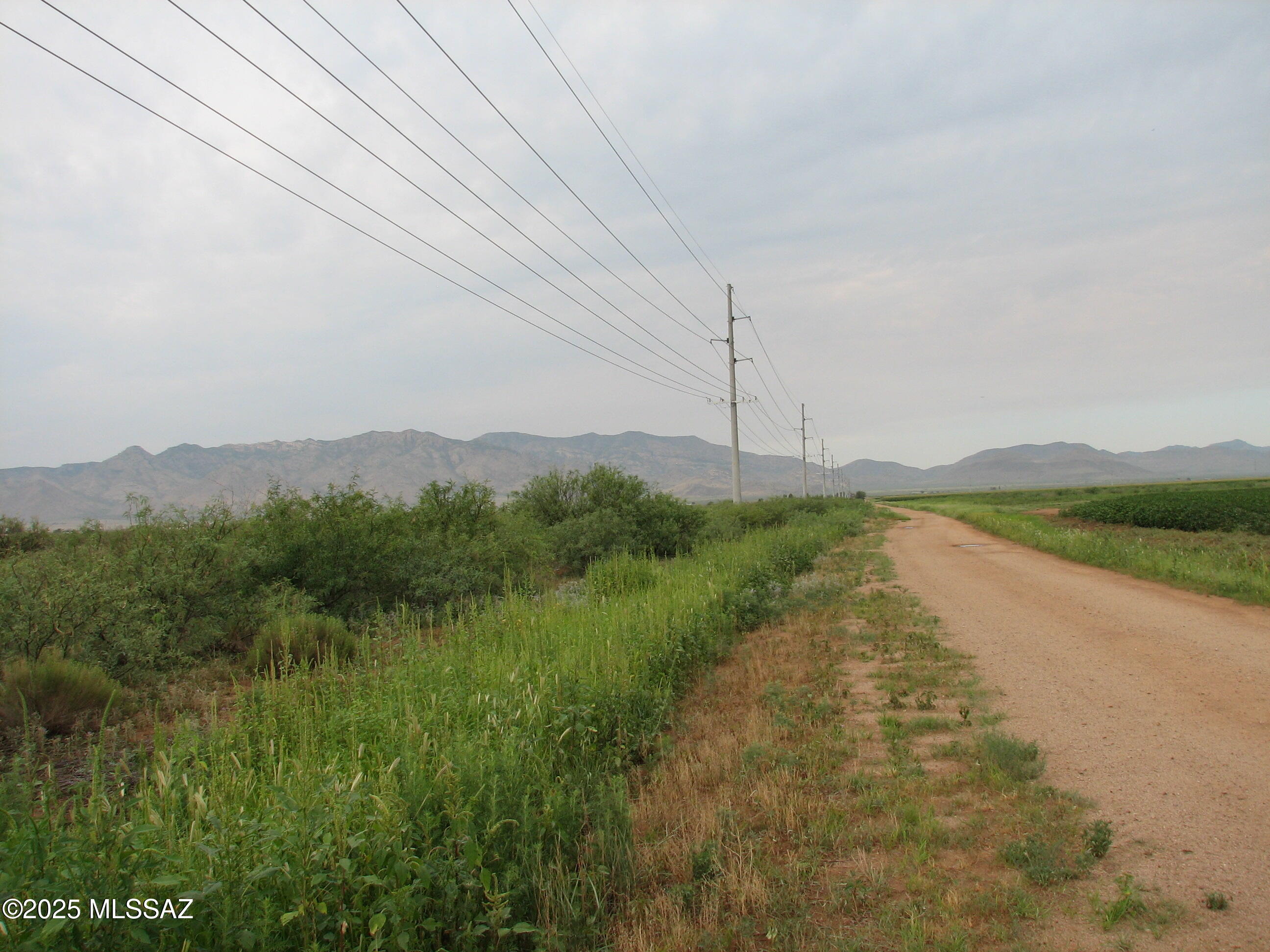 Looking for a scenic but convenient to town property?  This 100 acres offers panoramic mountain views, very private feeling home or ranch site.  Bordered on the north by green fields, just 1600' off paved Ft. Grant Road then quick 14 miles into Willcox for shopping or I-10 for a commute to Tucson!  Mostly level land.  Fronts on County Line Road on the north side and Chief Drive on the south side.  Electric on Chief Drive and County Line Road.  Phone, natural gas are available.  Looking for privacy for your farm animals, this is it!  No HOA, No CCR's.  Seller will do  owner carry with 40% down, 6% interest for 5 years  or cnsider a possible split of the land.