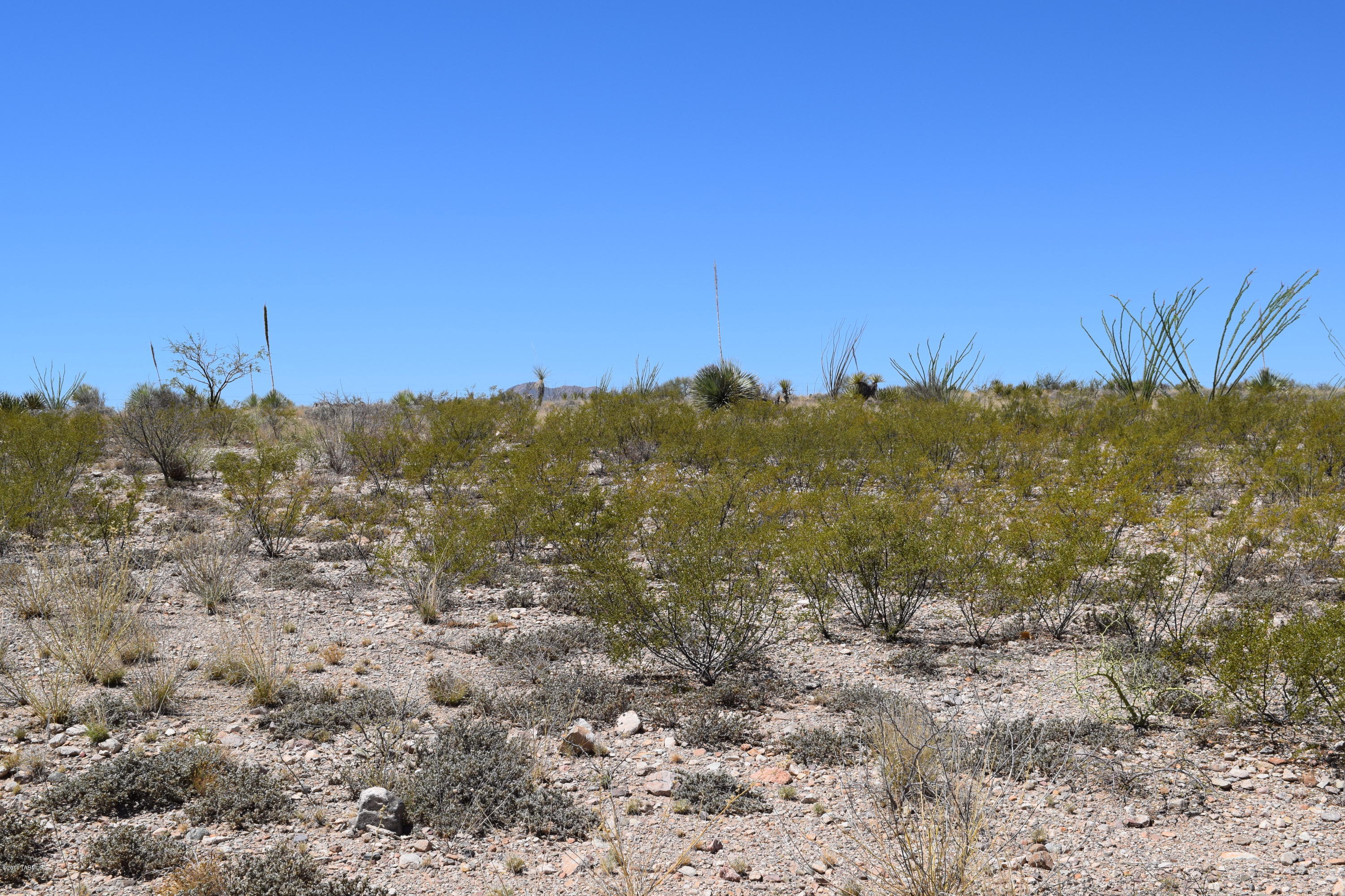 Mountain View Ranch (1-362) - Land
