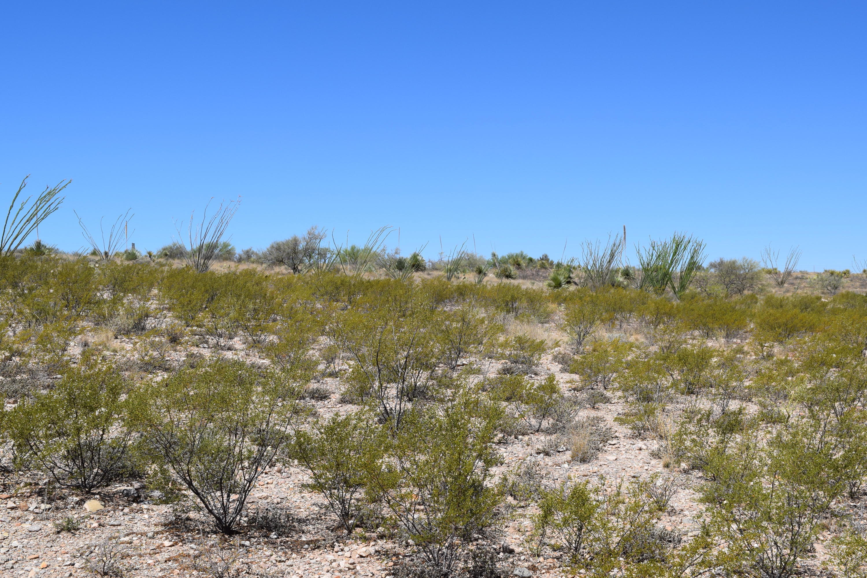 Mountain View Ranch (1-362) - Land