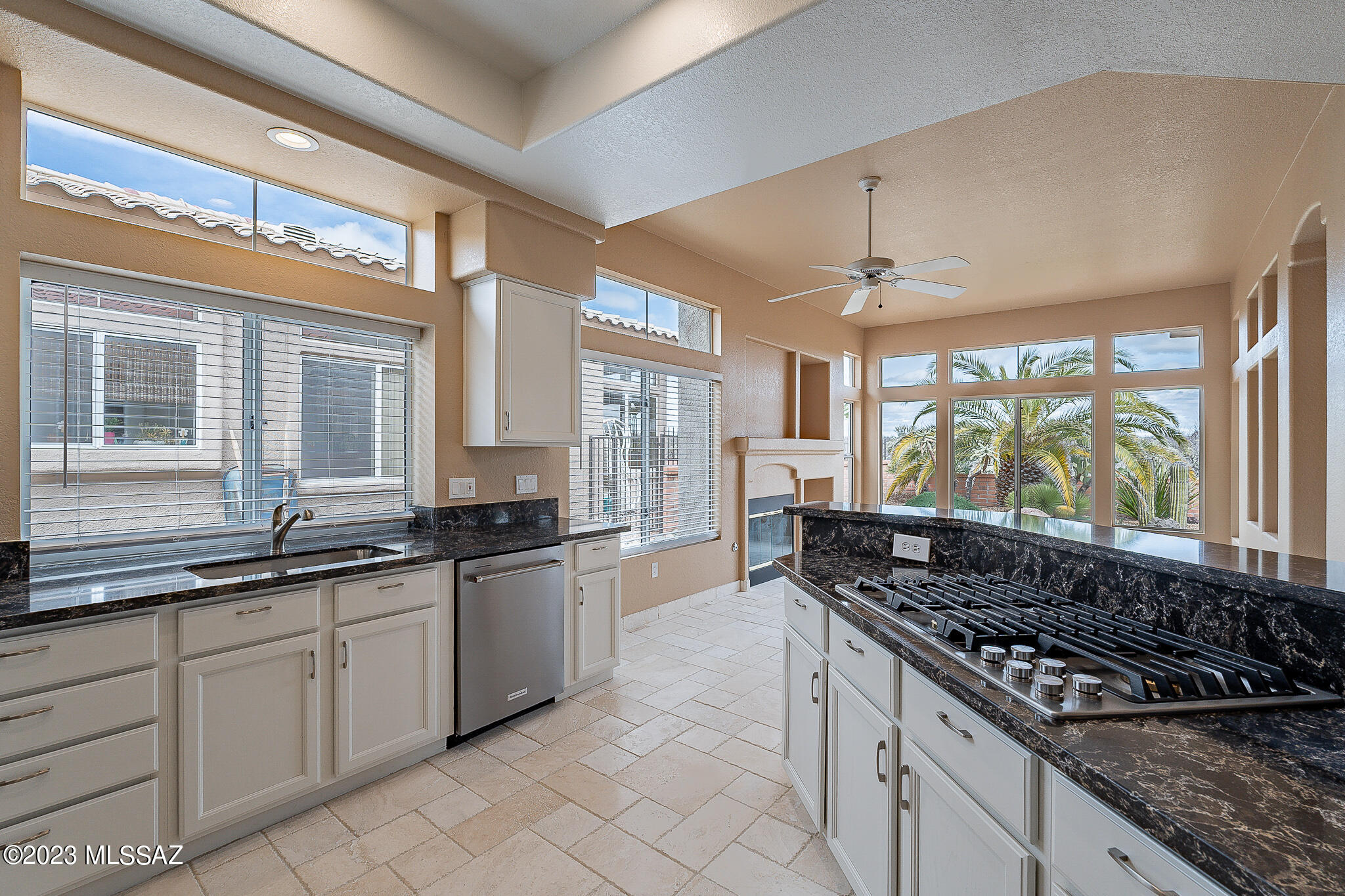 Sun City Vistoso Unit 7(1-227) - Residential