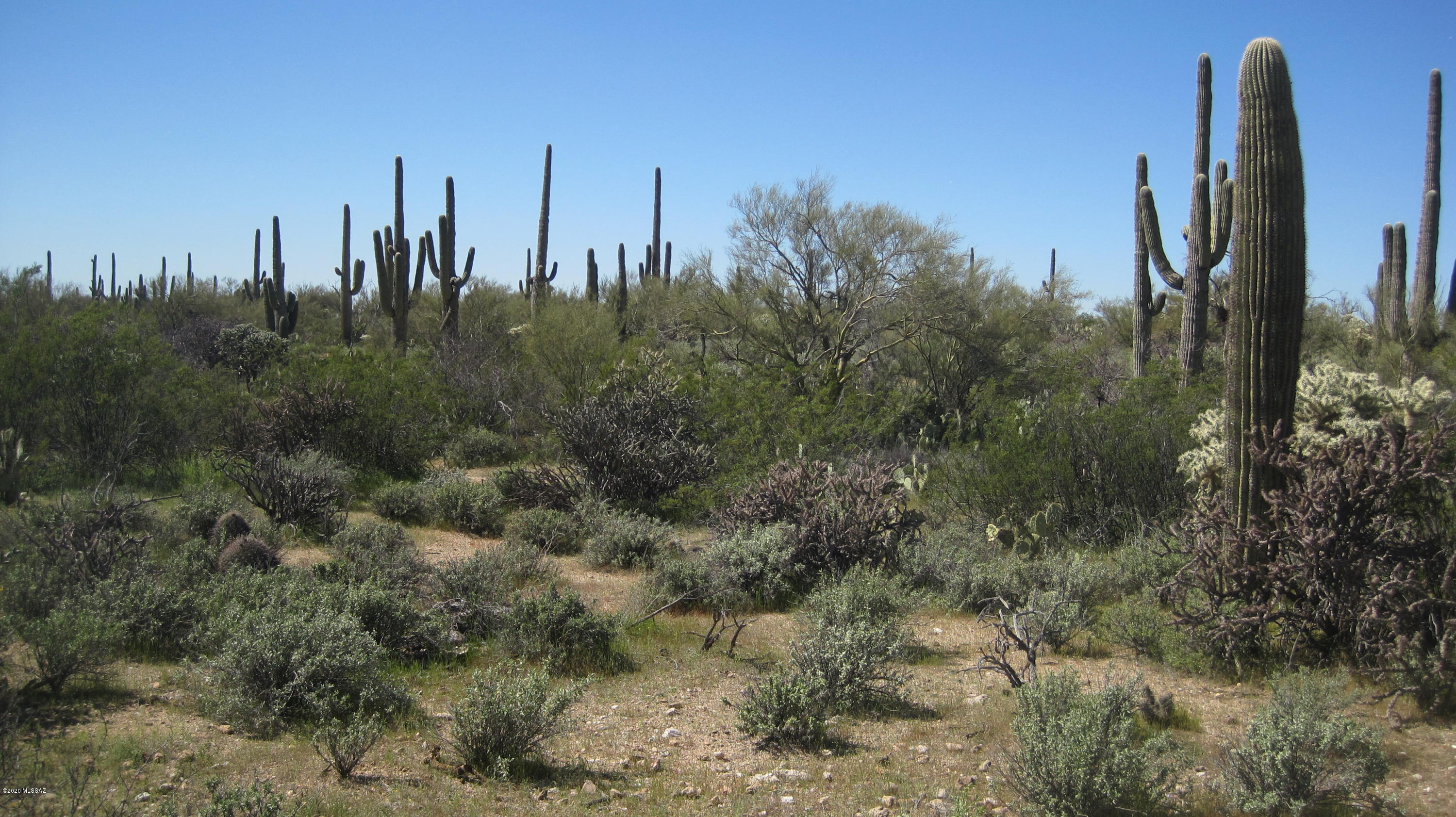 Bordered by Federal land to the West. Gated. Valley & city views. Vegetation abundant. 360' sweeping, breathtaking, awesome, serene. Easy access. One of a kind.!