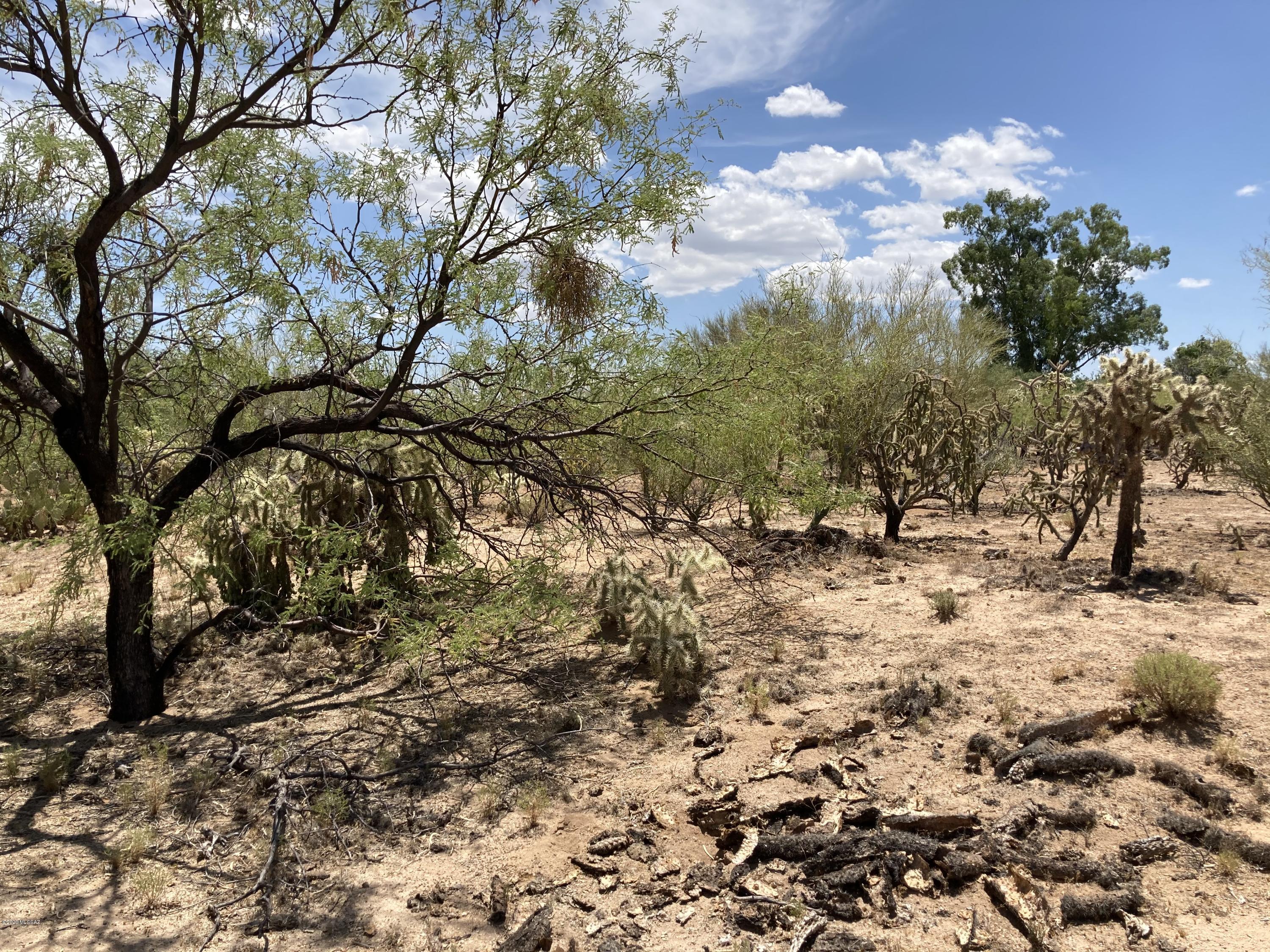 Diamond Bell Ranch - Tucson (1-229) - Land