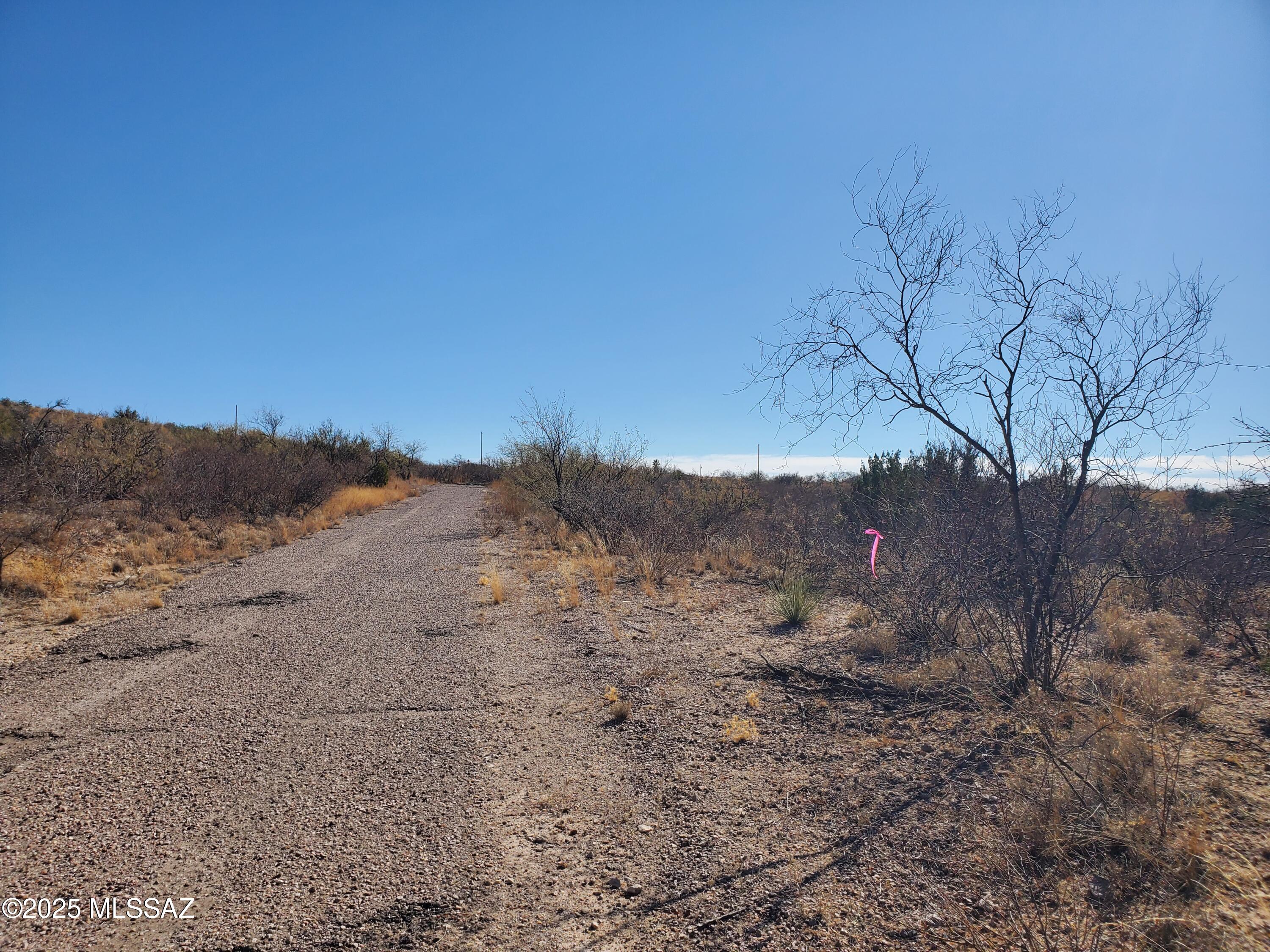 Rio Rico Estates 10 - Land