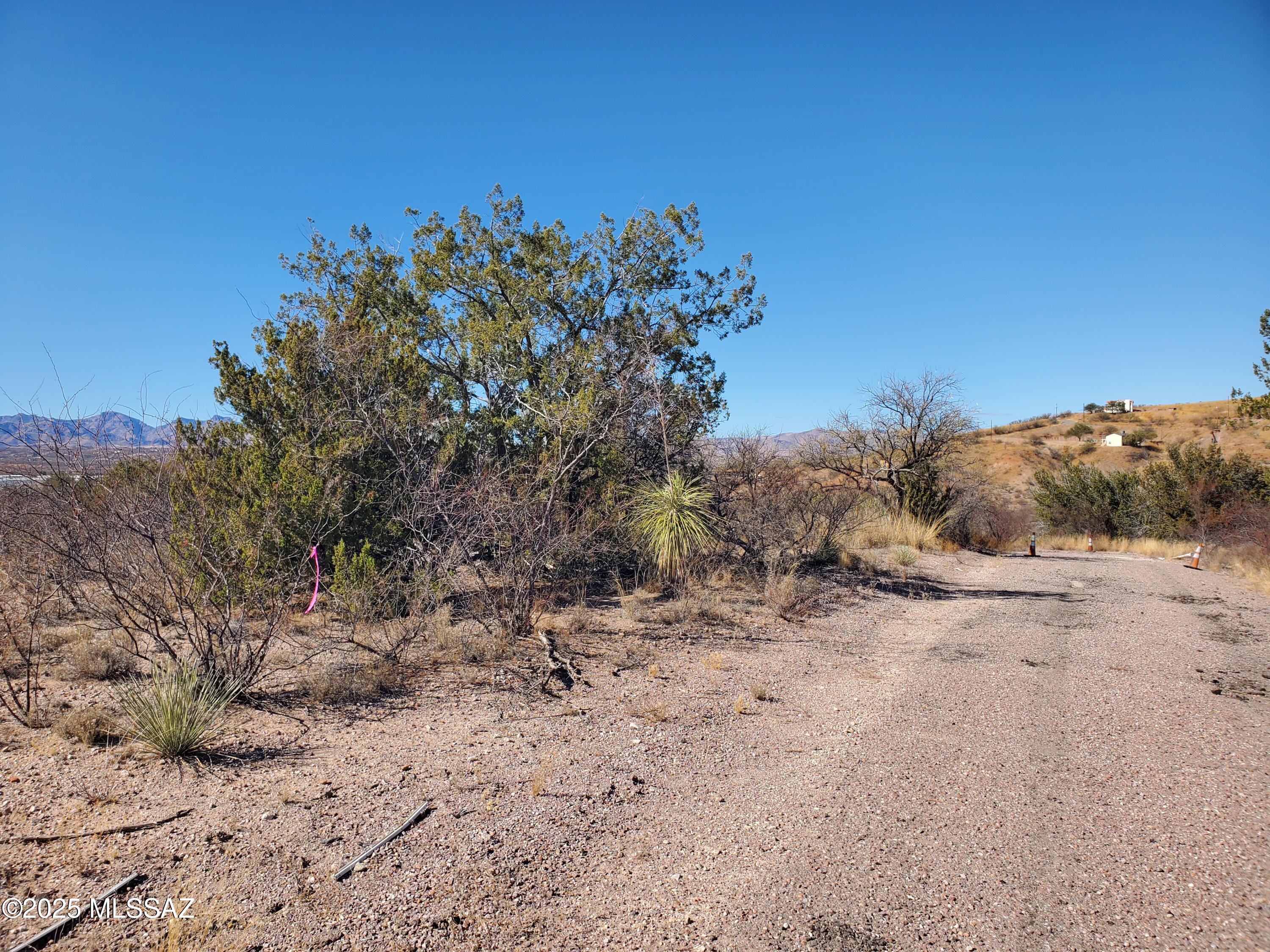 Rio Rico Estates 10 - Land