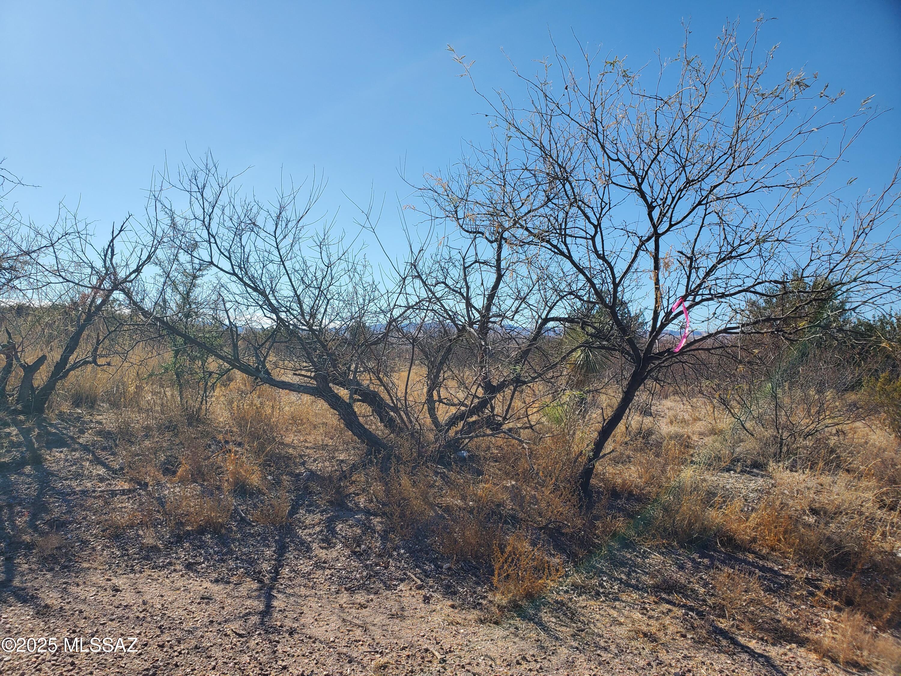 Rio Rico Estates 10 - Land