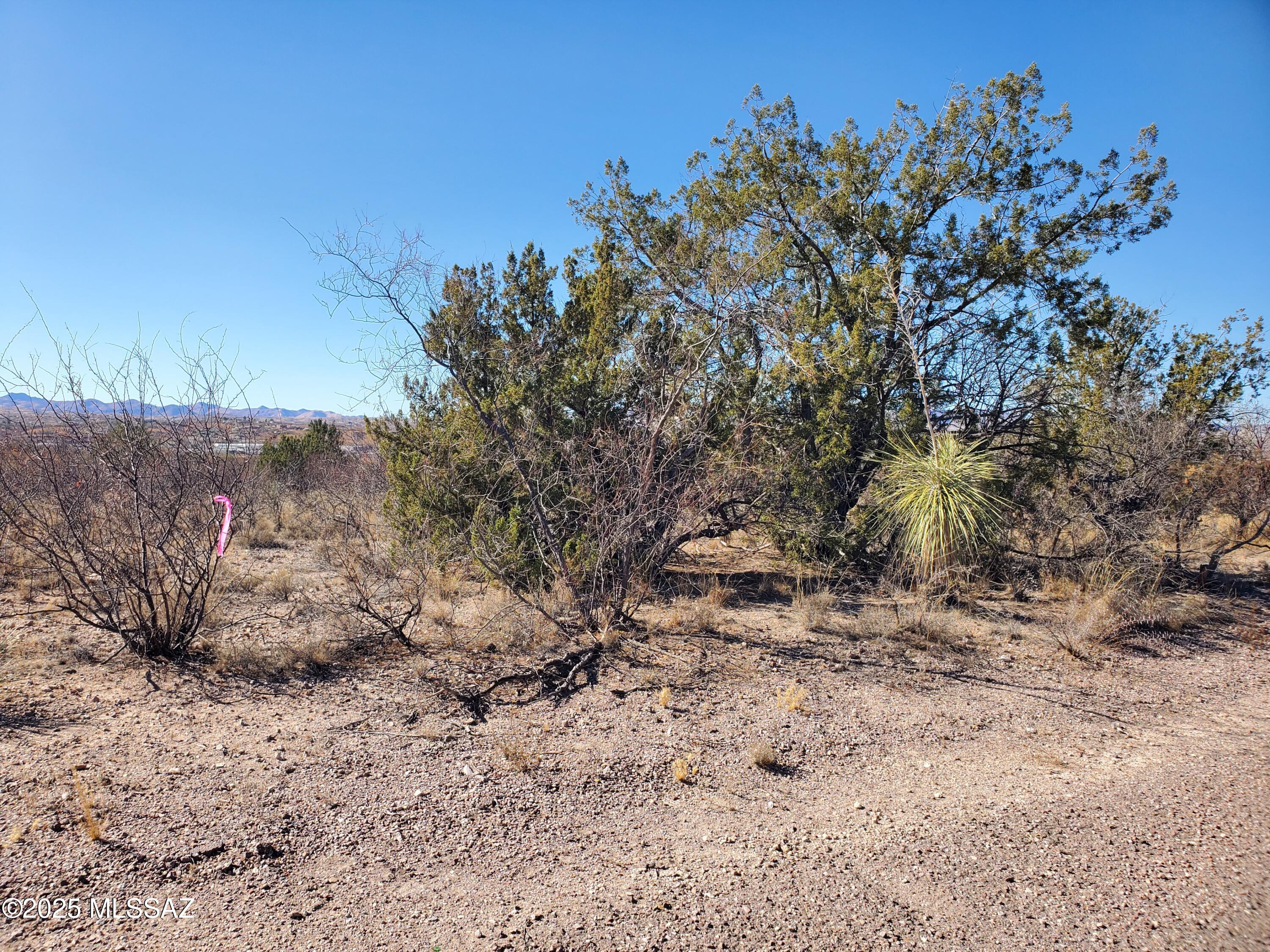 Rio Rico Estates 10 - Land