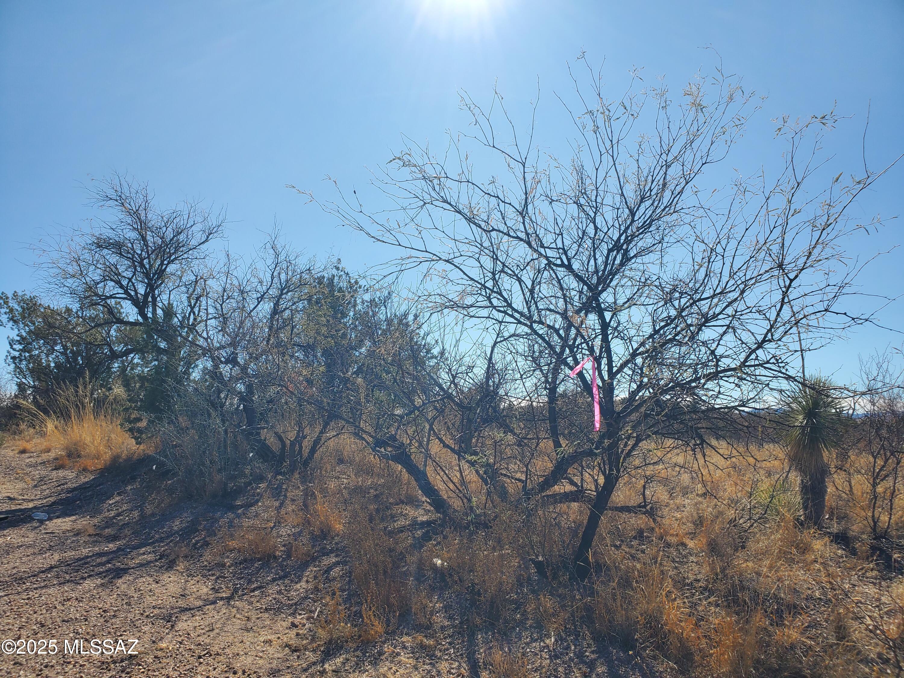 Rio Rico Estates 10 - Land