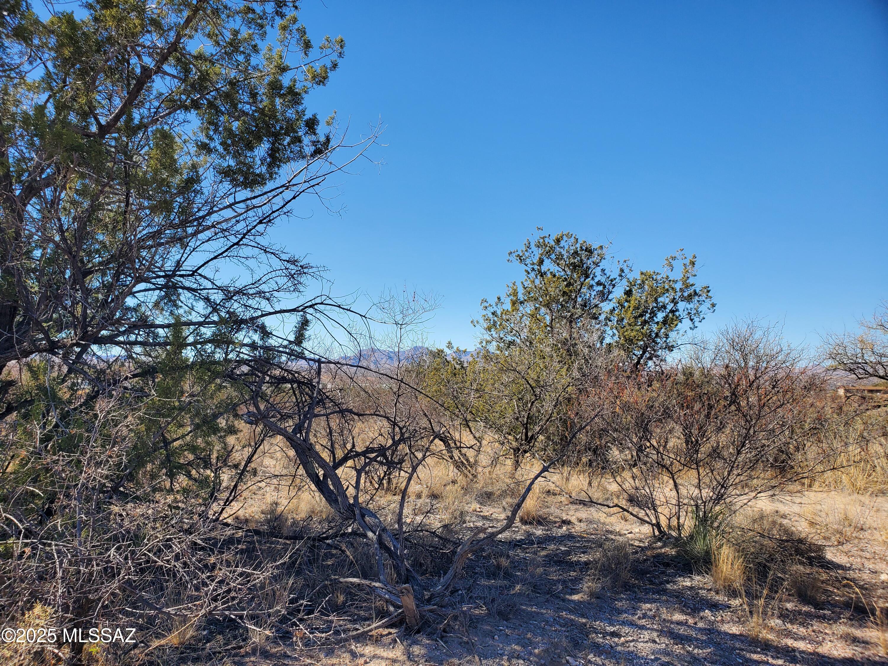 Rio Rico Estates 10 - Land