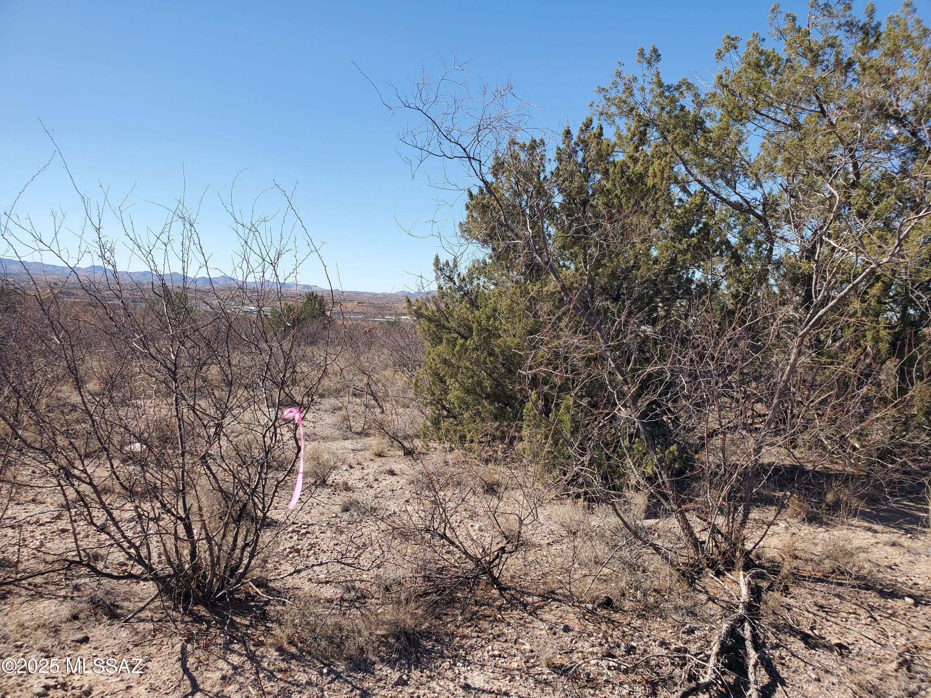 Rio Rico Estates 10 - Land