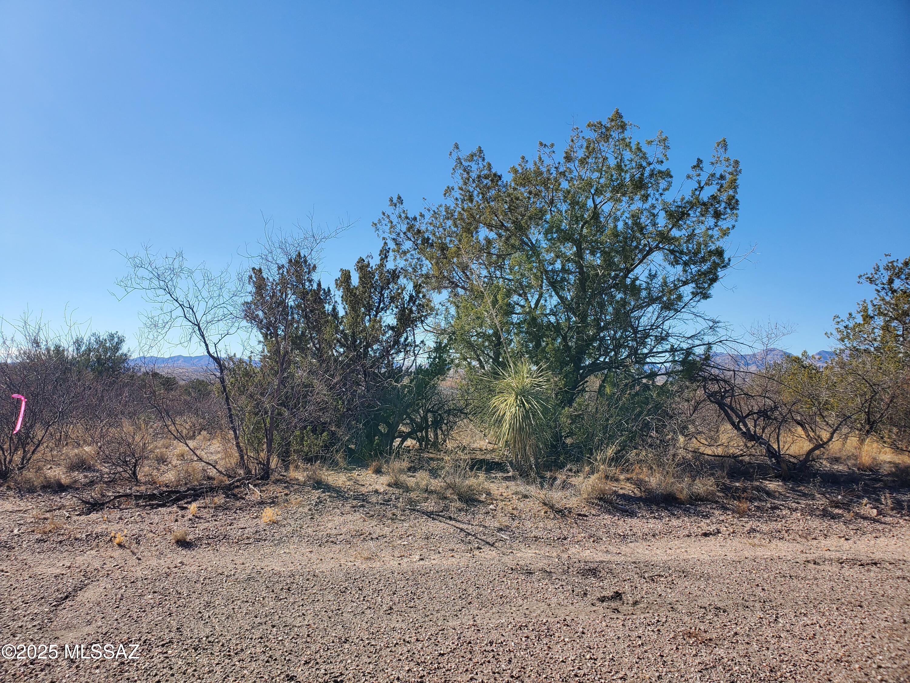 Rio Rico Estates 10 - Land