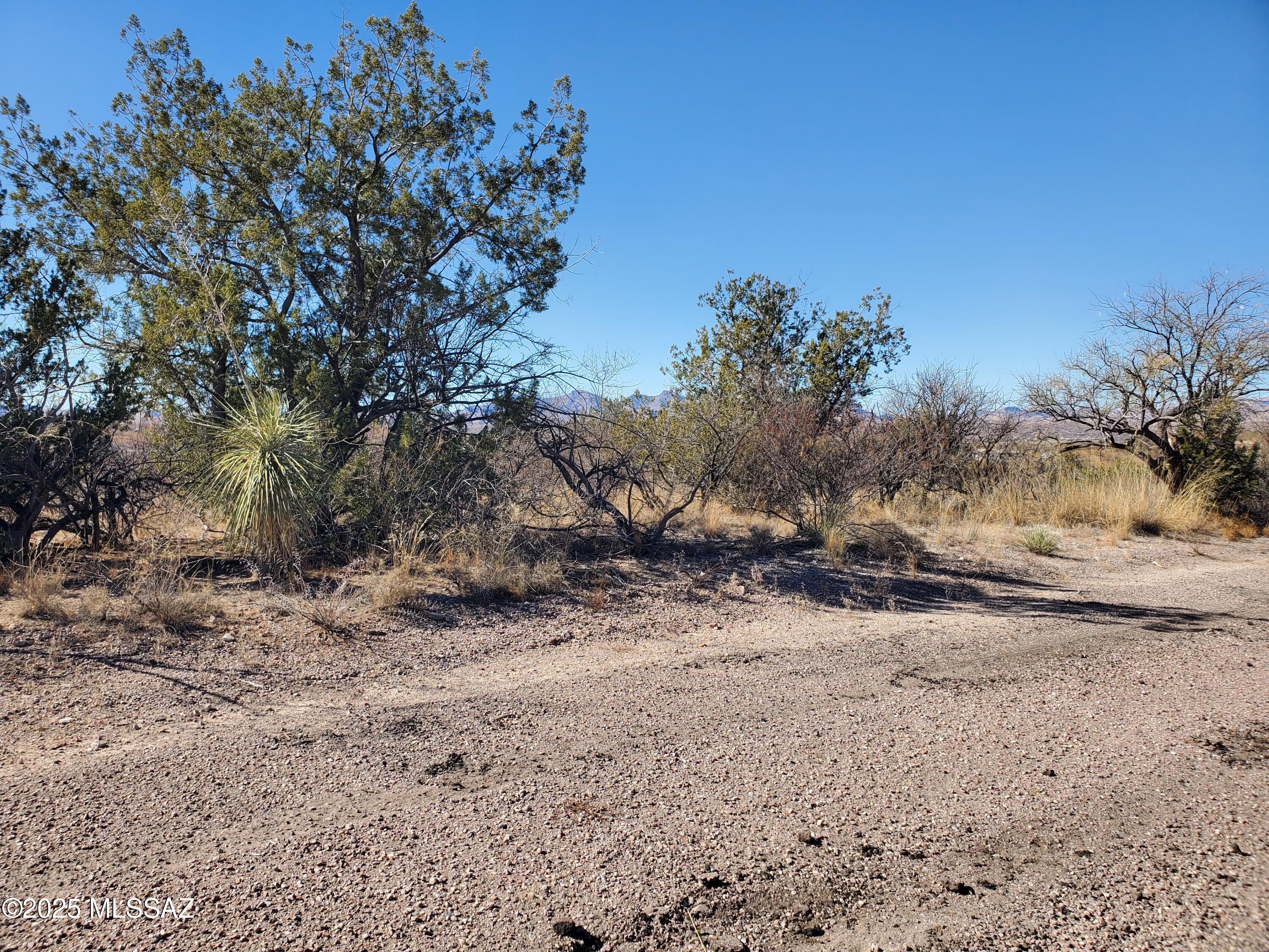 Rio Rico Estates 10 - Land