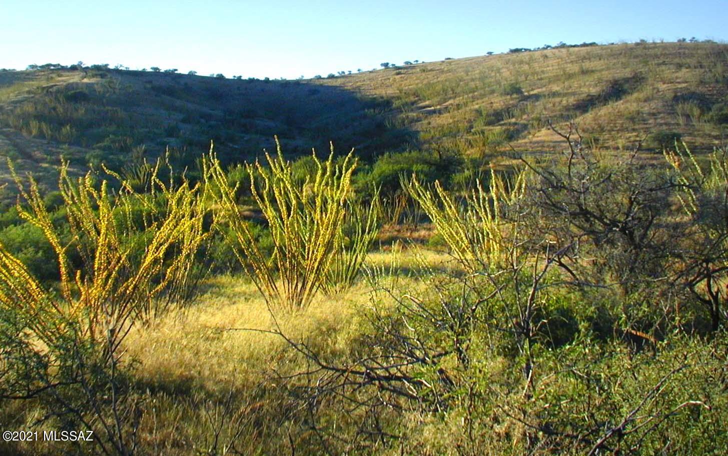 Lake Patagonia Ranch - Land