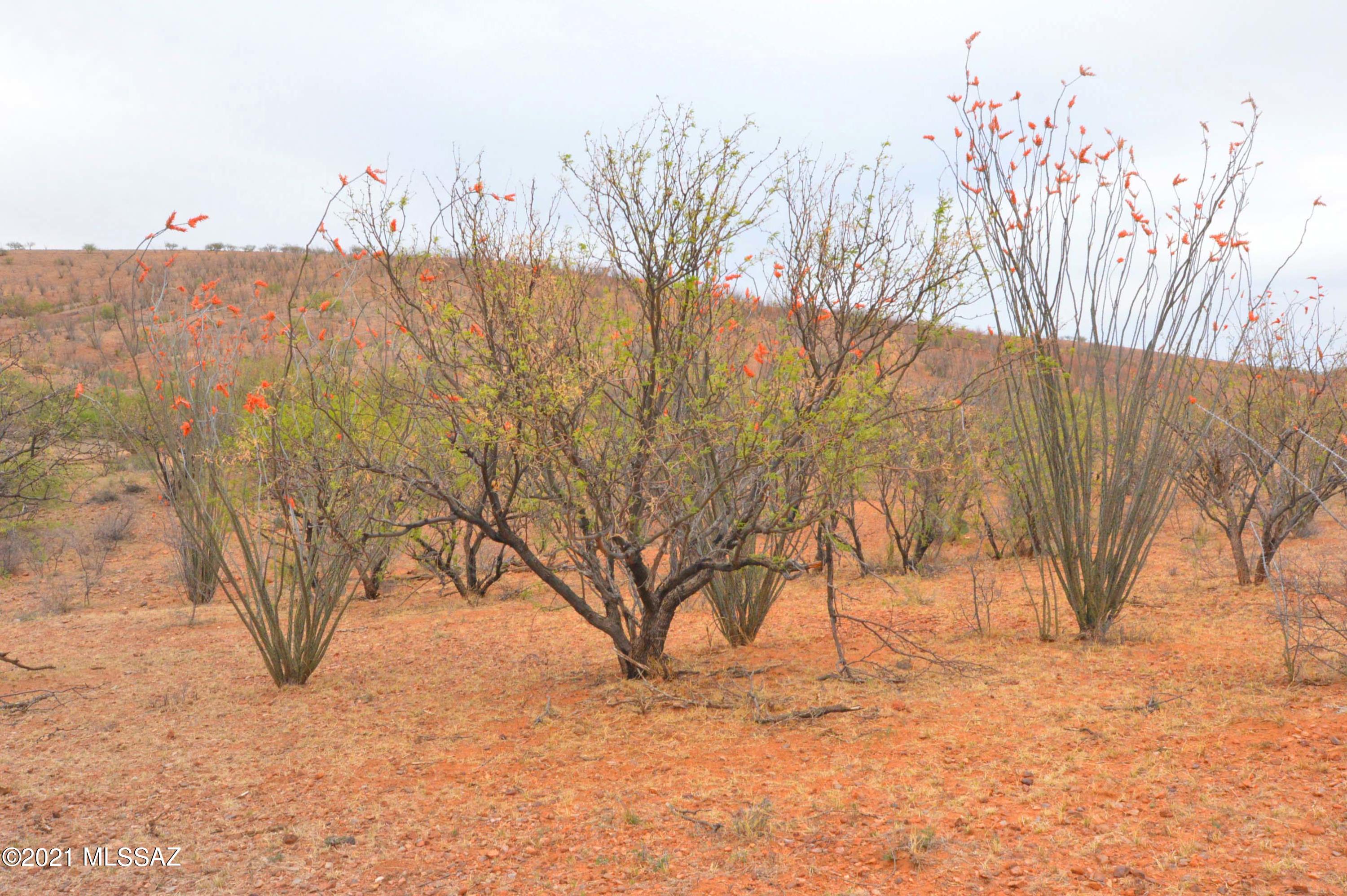 Lake Patagonia Ranch - Land