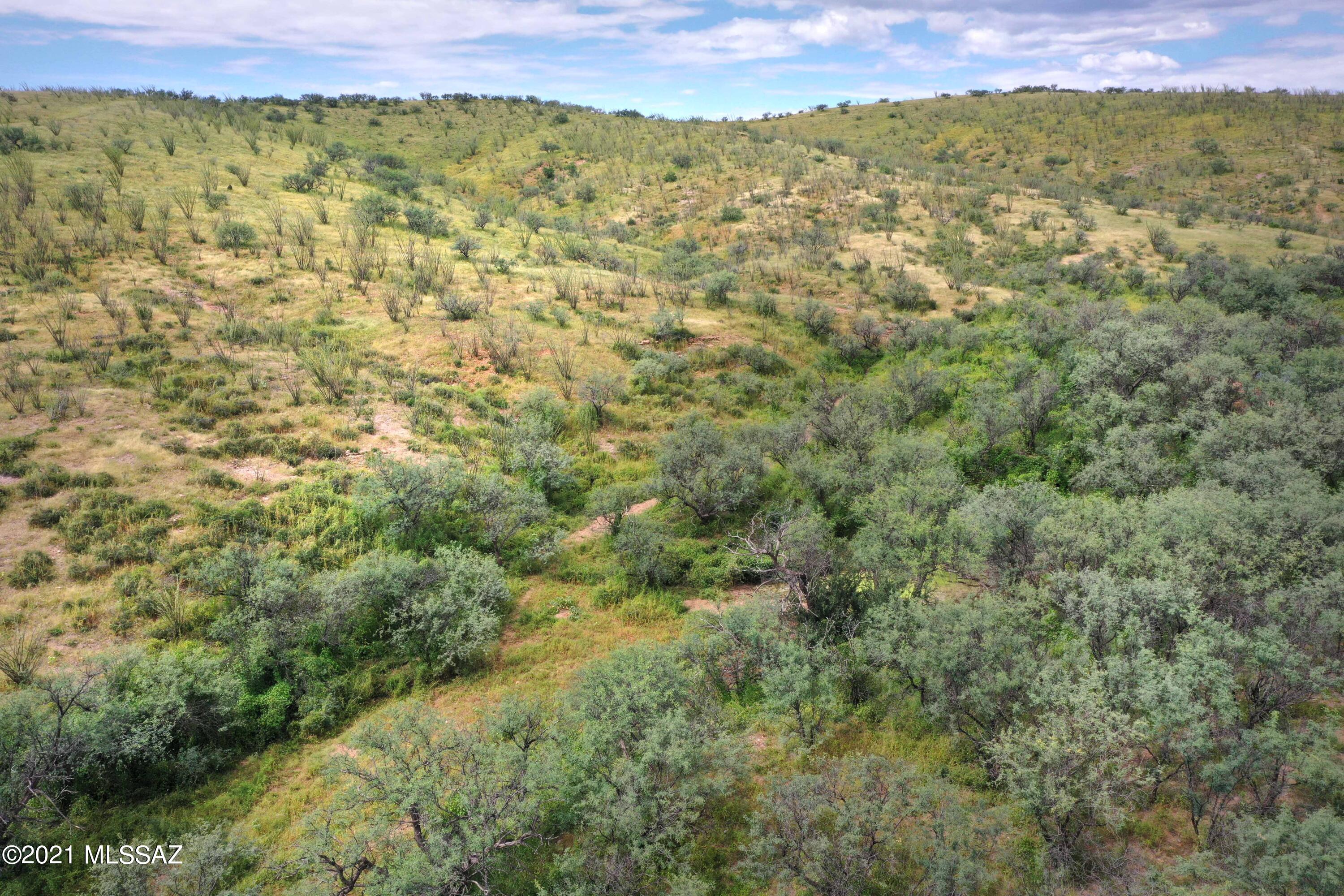 Lake Patagonia Ranch - Land