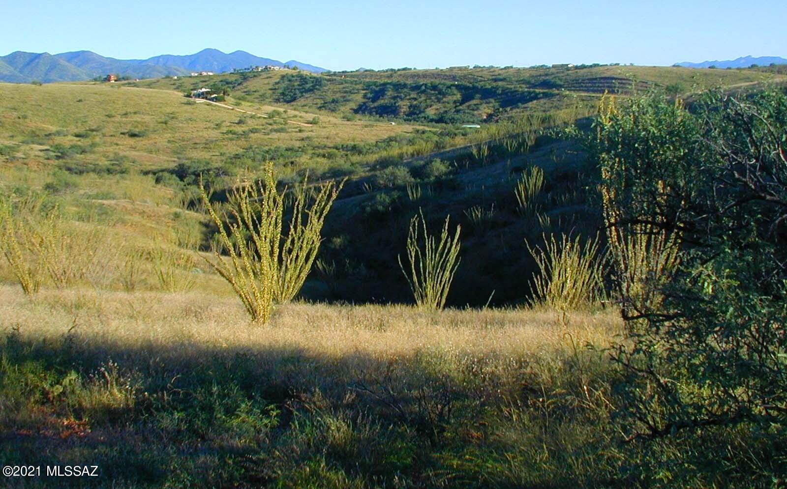 Lake Patagonia Ranch - Land
