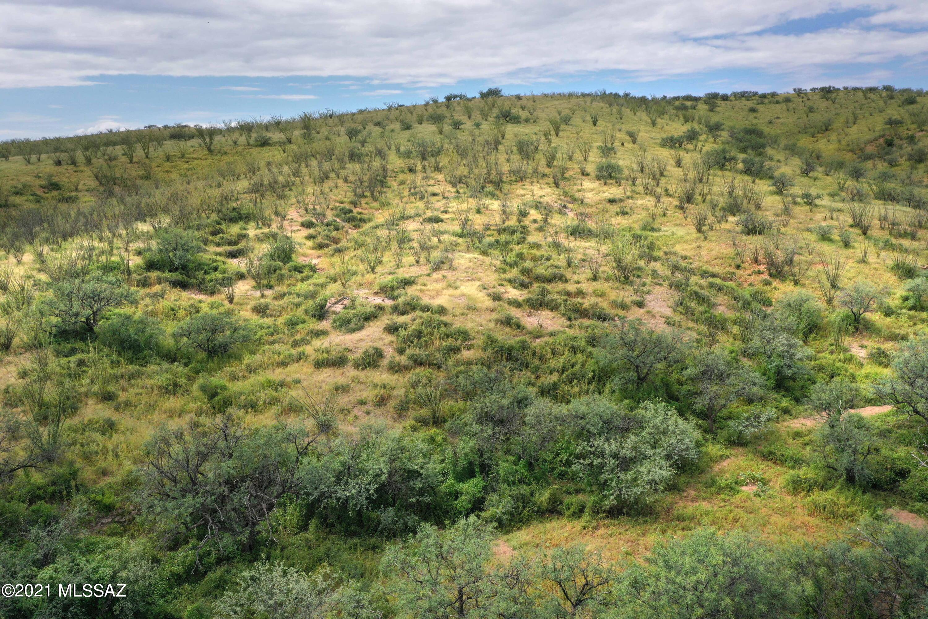 Lake Patagonia Ranch - Land