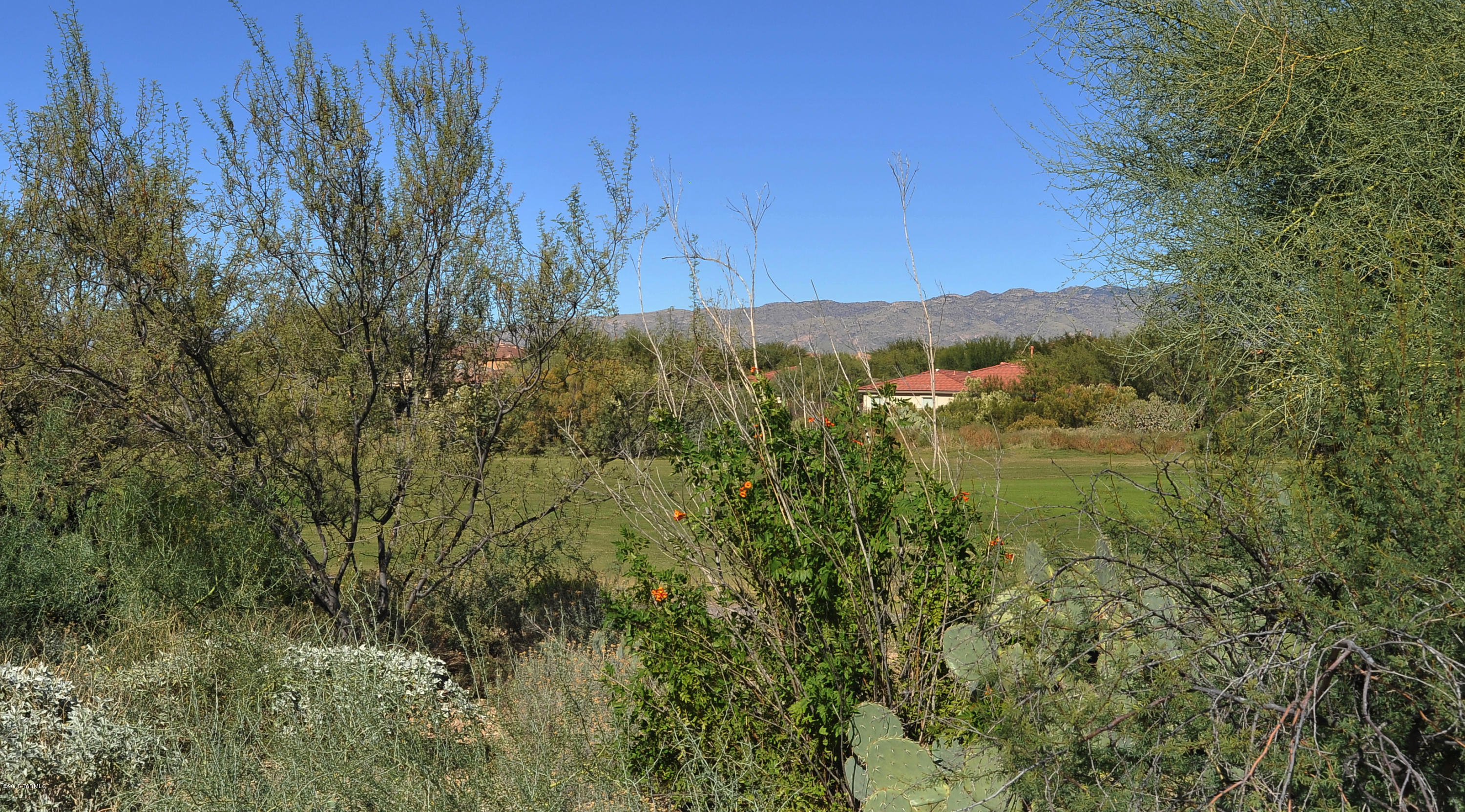 Rancho Del Lago (1-100) - Residential