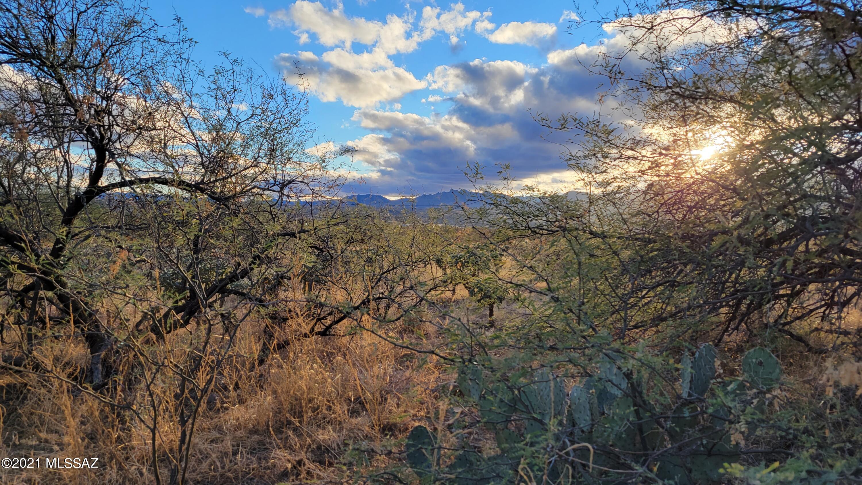 Rio Rico Villas 11 - Land