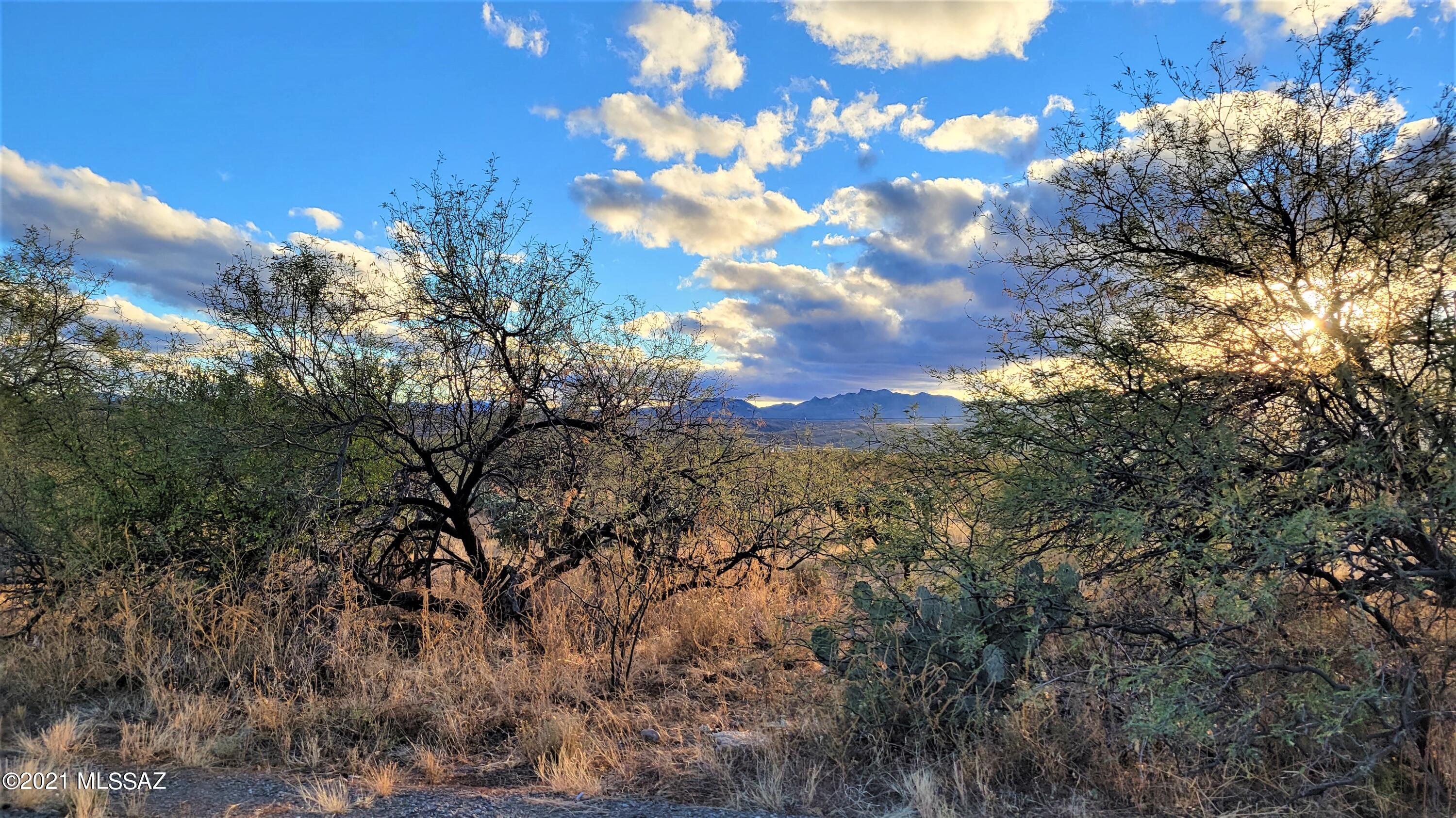 Easy built corner lot in area of new homes. Nice views and electric and water are in the street.