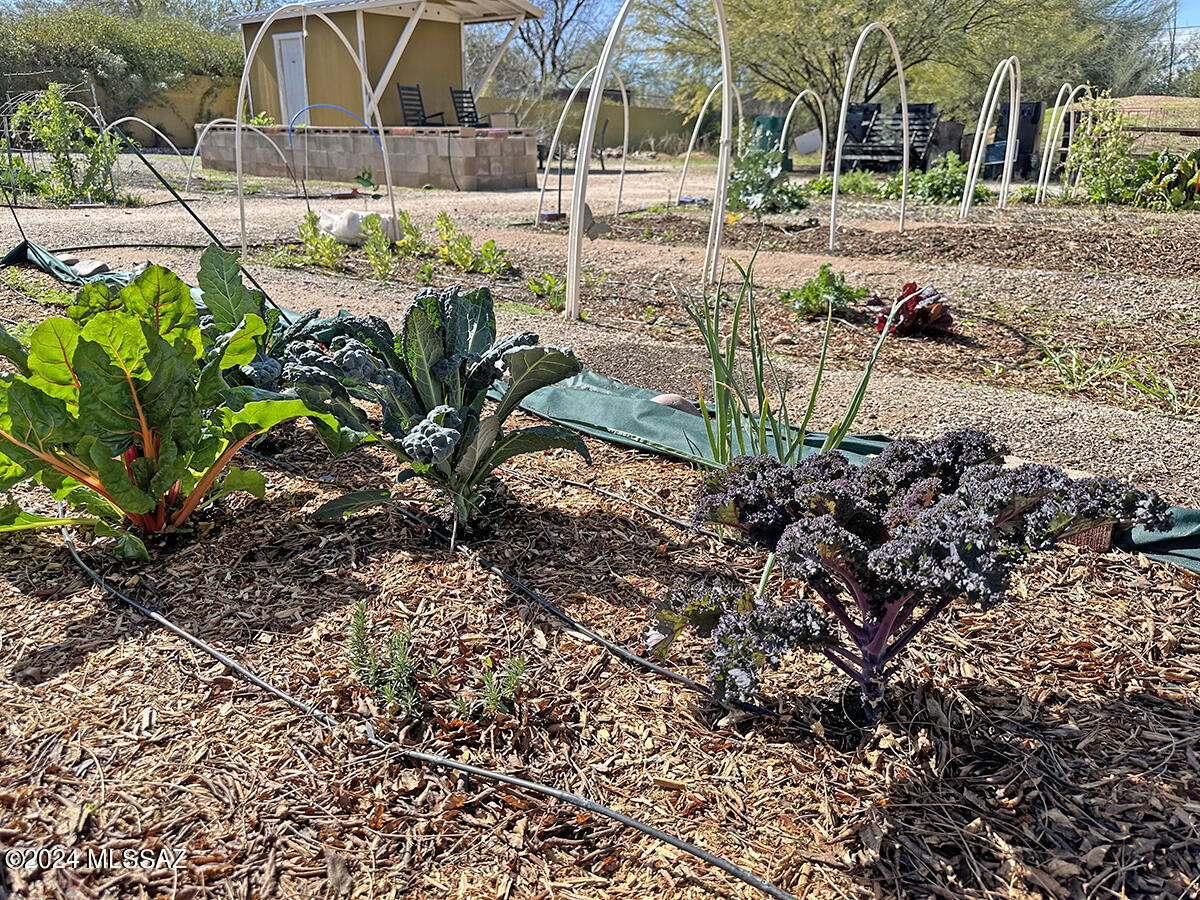 Madelyn Park Annex - Land