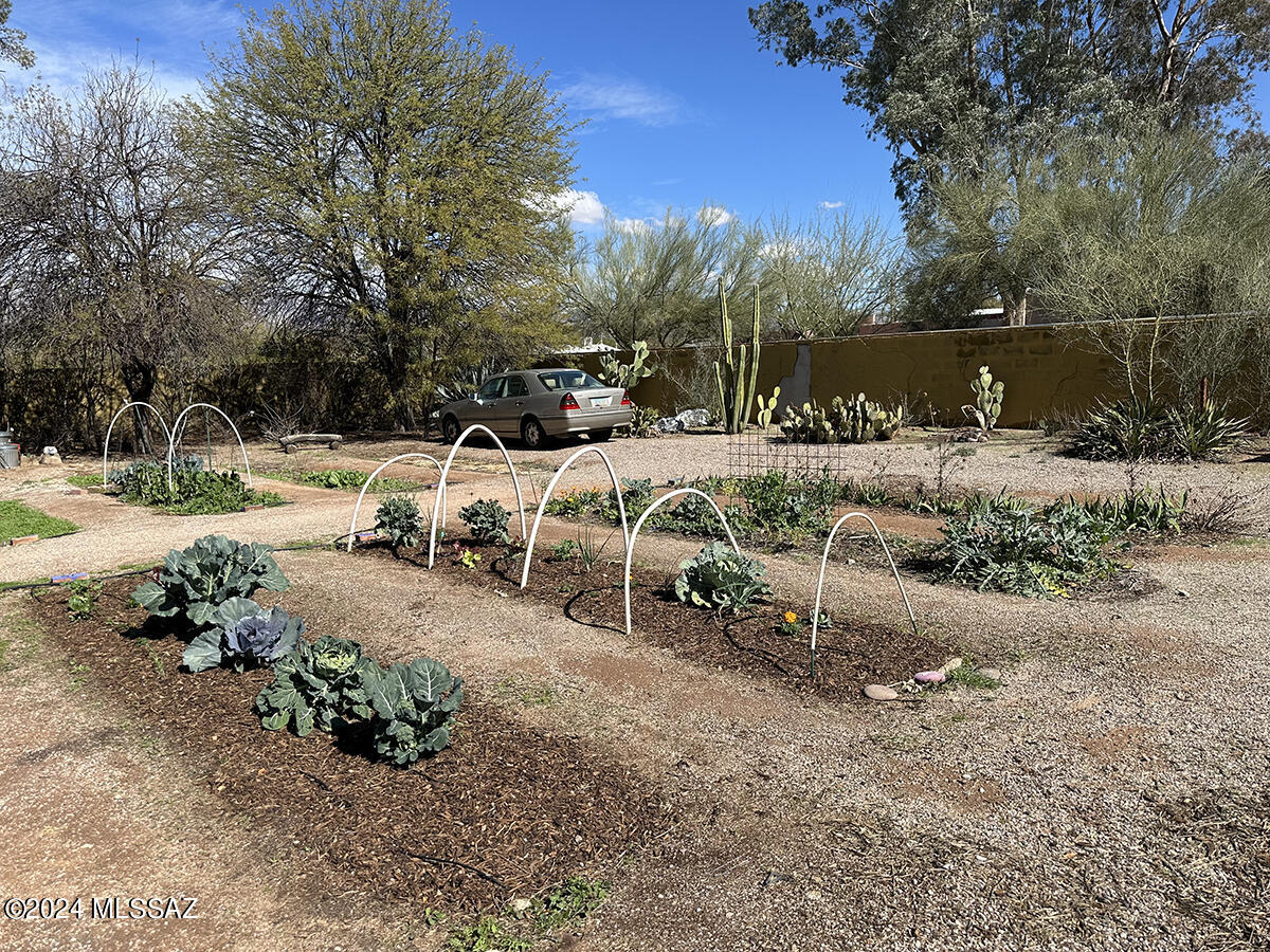 Madelyn Park Annex - Land