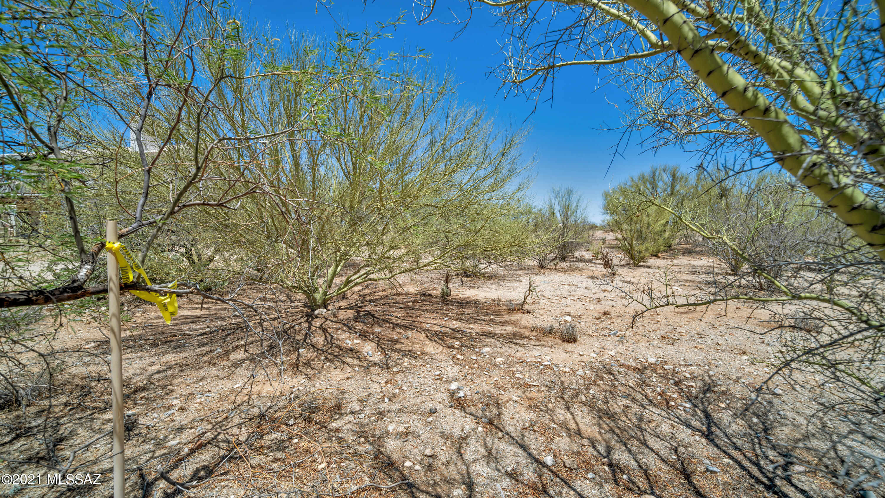 Diamond Bell Ranch - Tucson Unit 9 (Lots 58-375) - Land