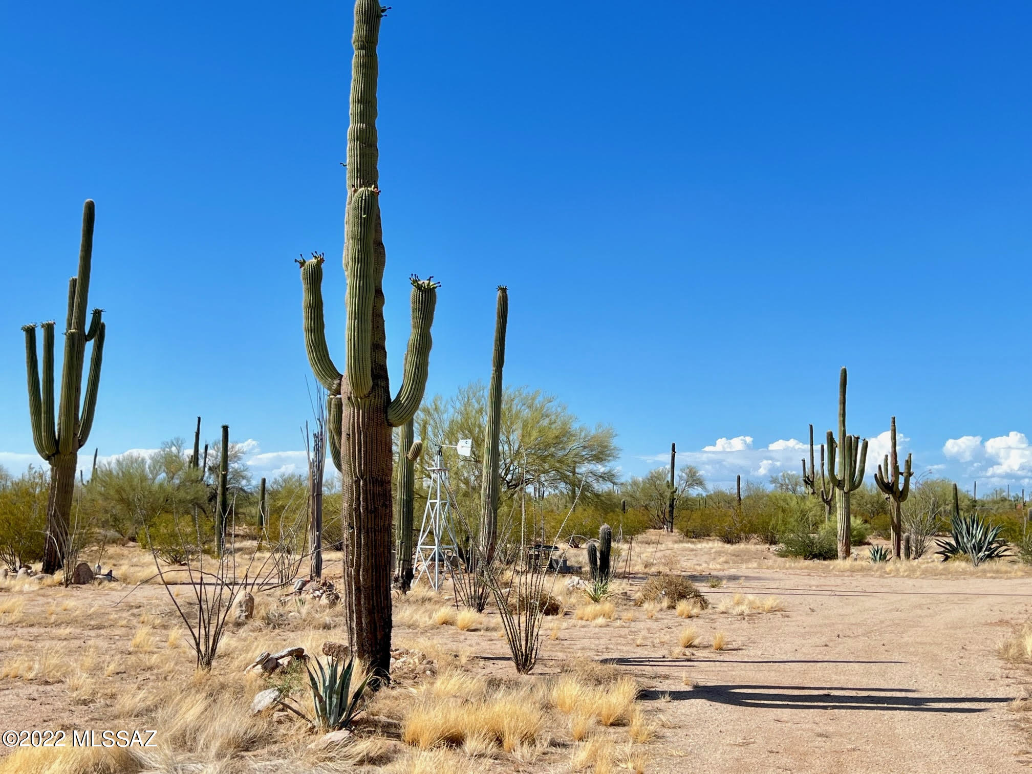 Saguaros got this 7-acre dividable property along with ocotillos and other Sonoran Desert vegetation! Private driveway shares with only two other homes on owner maintained road. Well agreement is shared with 4 other properties for a total of 5 on the well. Electric to the lot line, CC&R's in place to prevent nuances or damage to the attractiveness to the area. NO HOA! Single-family homes or manufactured or modular homes less than two years old are allowed.
