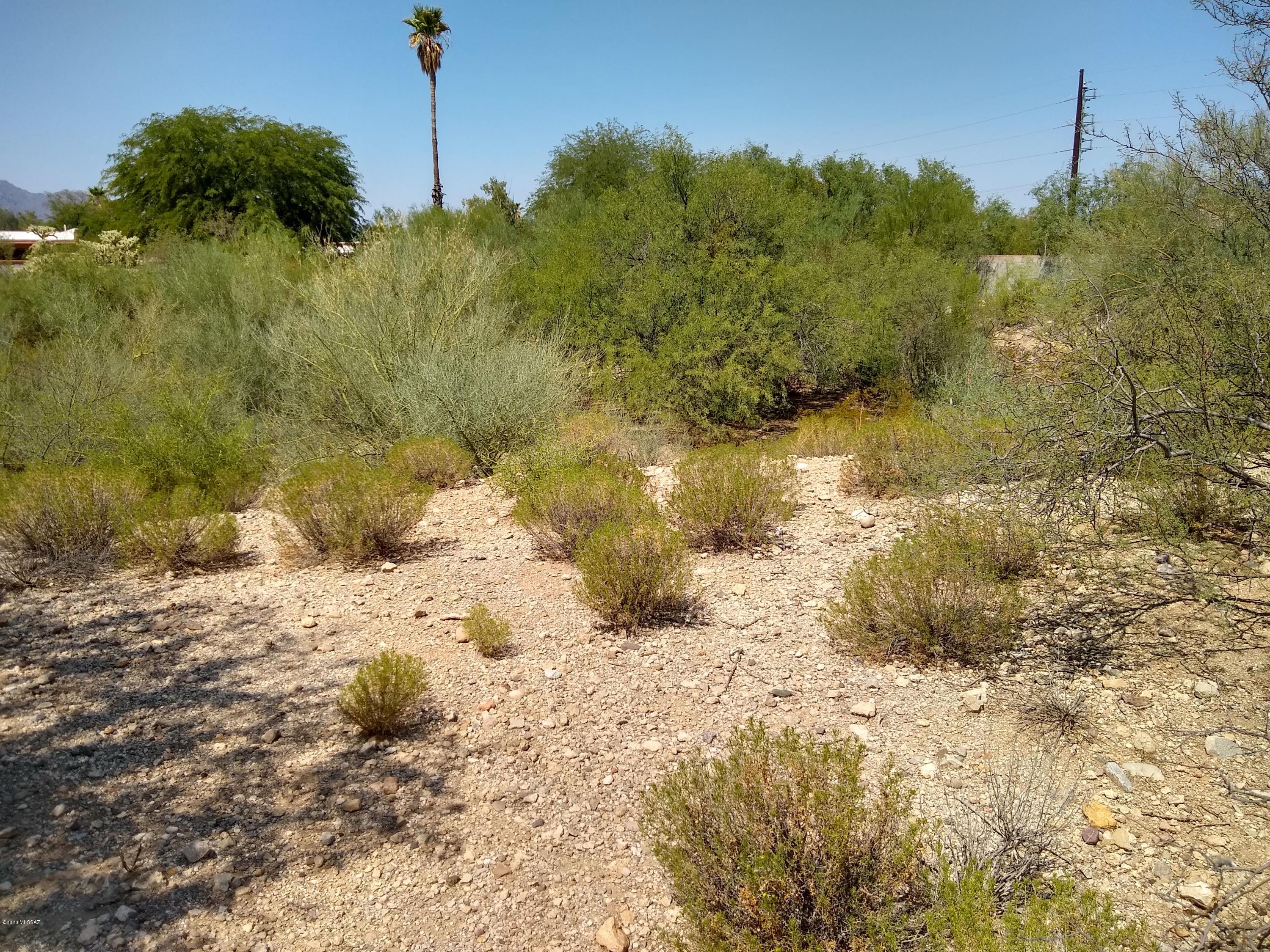Ironwood Ridge (1-96) - Land
