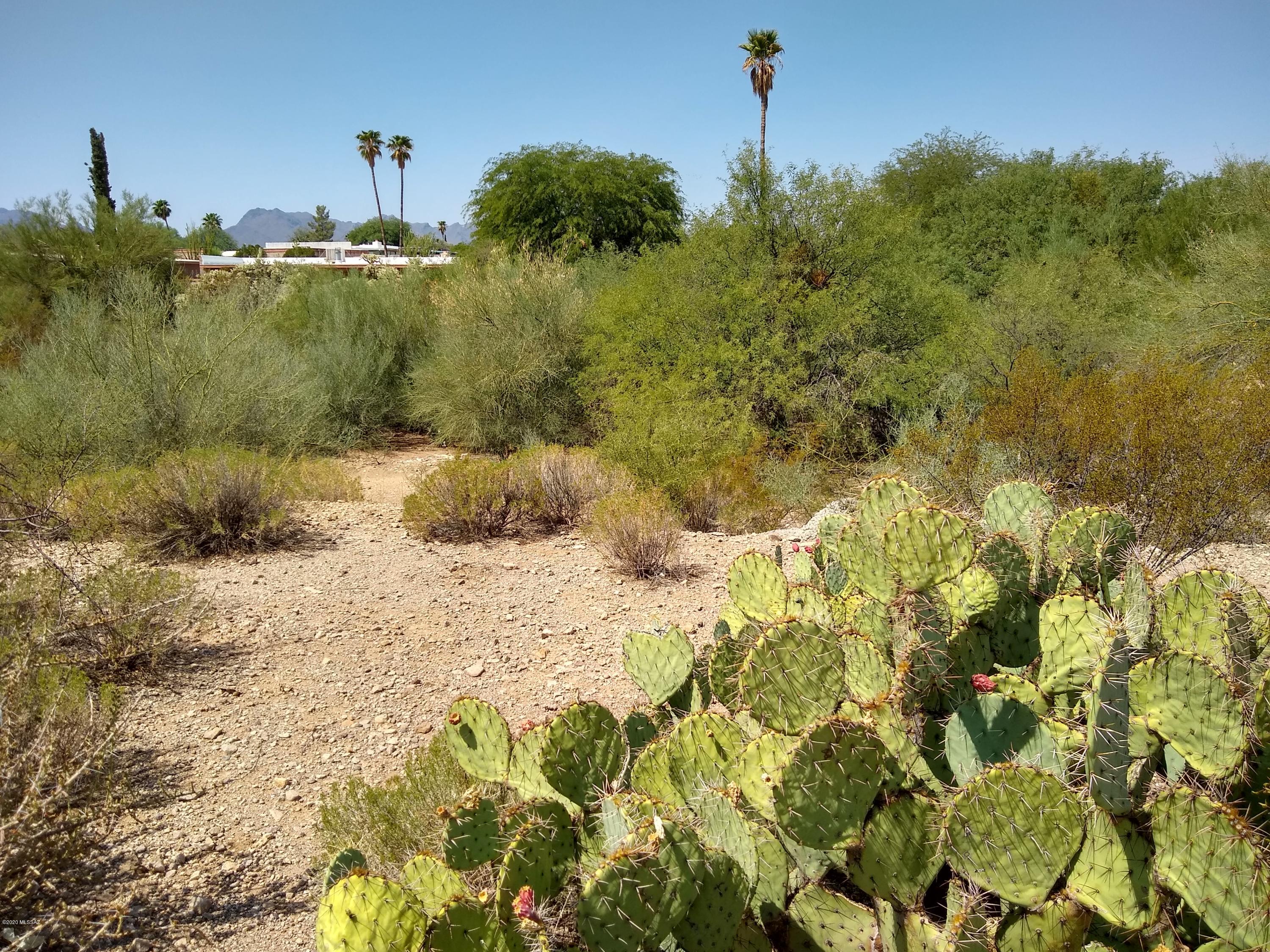 Ironwood Ridge (1-96) - Land