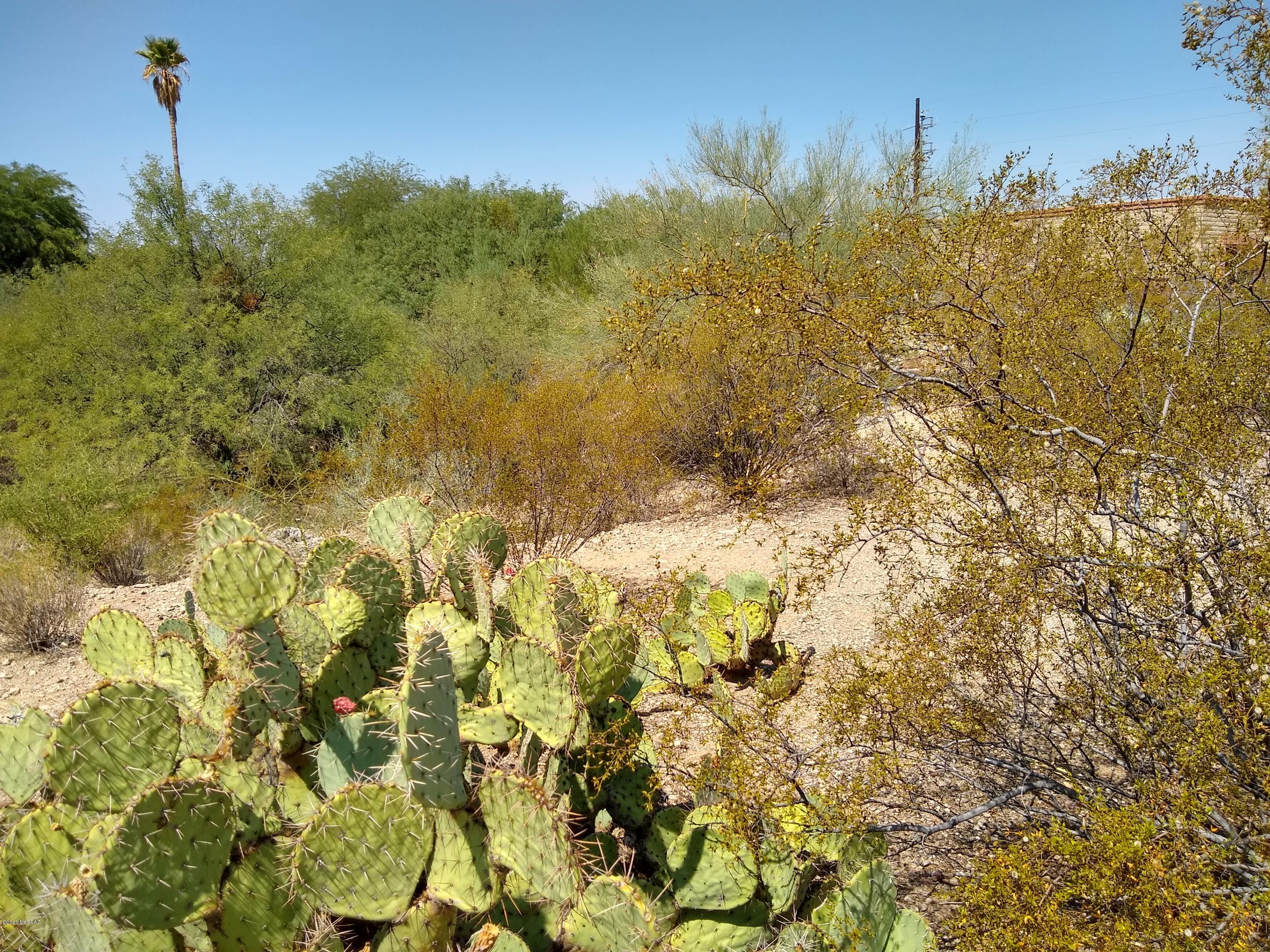 Ironwood Ridge (1-96) - Land