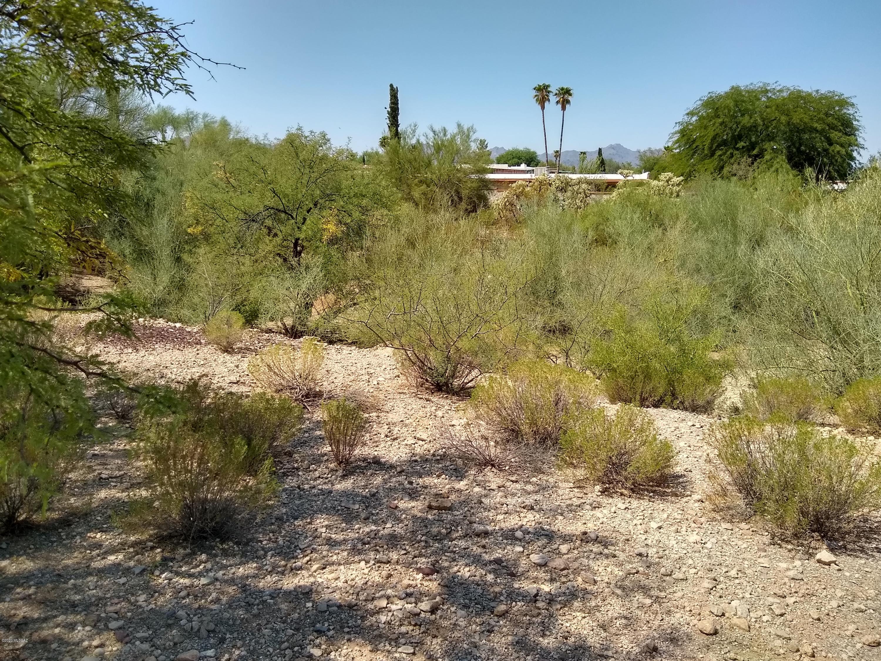 Ironwood Ridge (1-96) - Land