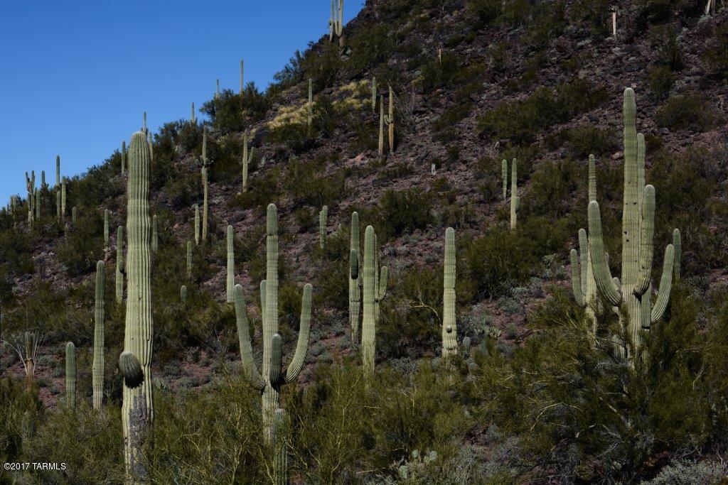 Saguaro Springs Block 8A (1-130) - Residential