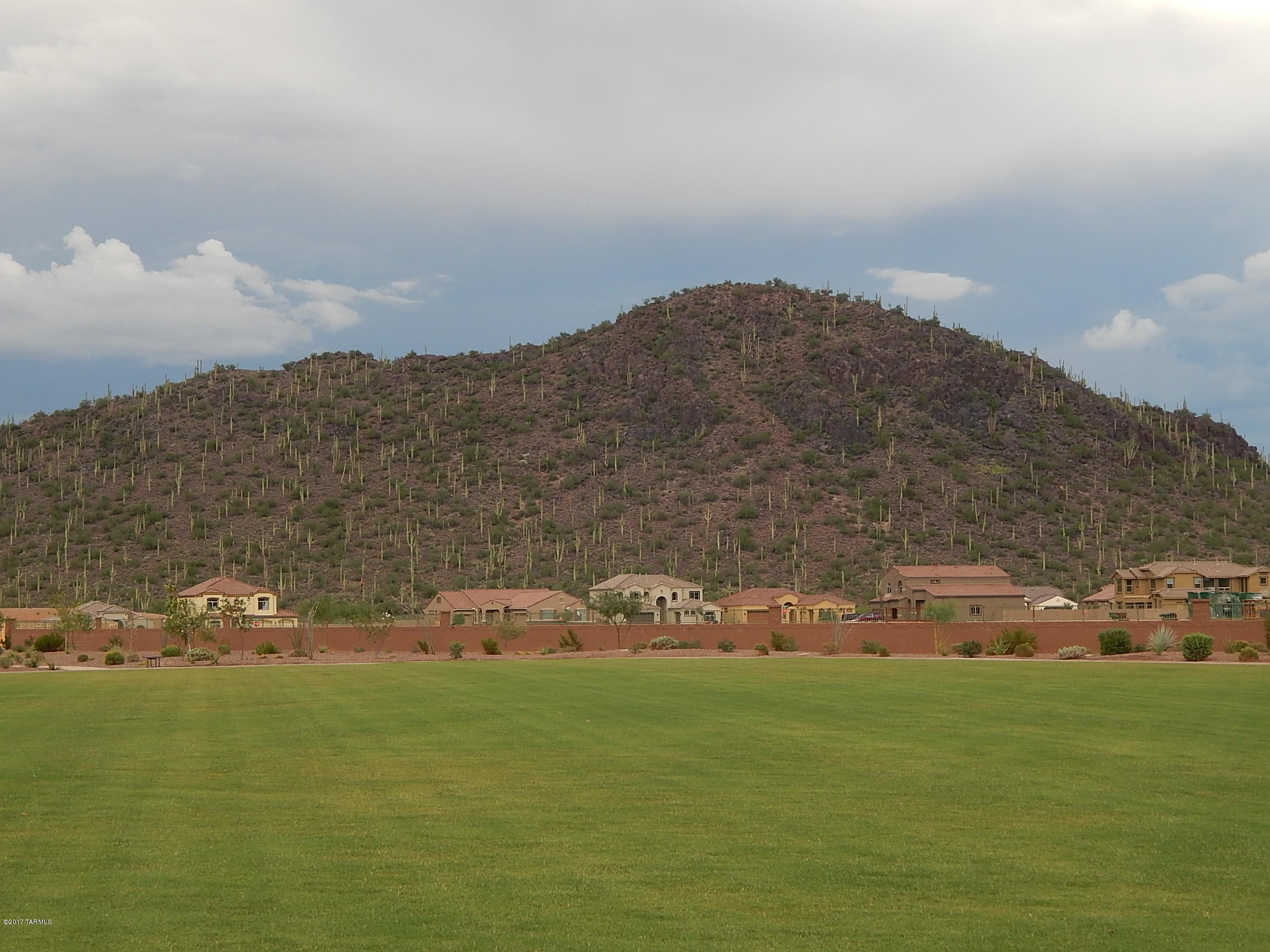 Saguaro Springs Block 8A (1-130) - Residential