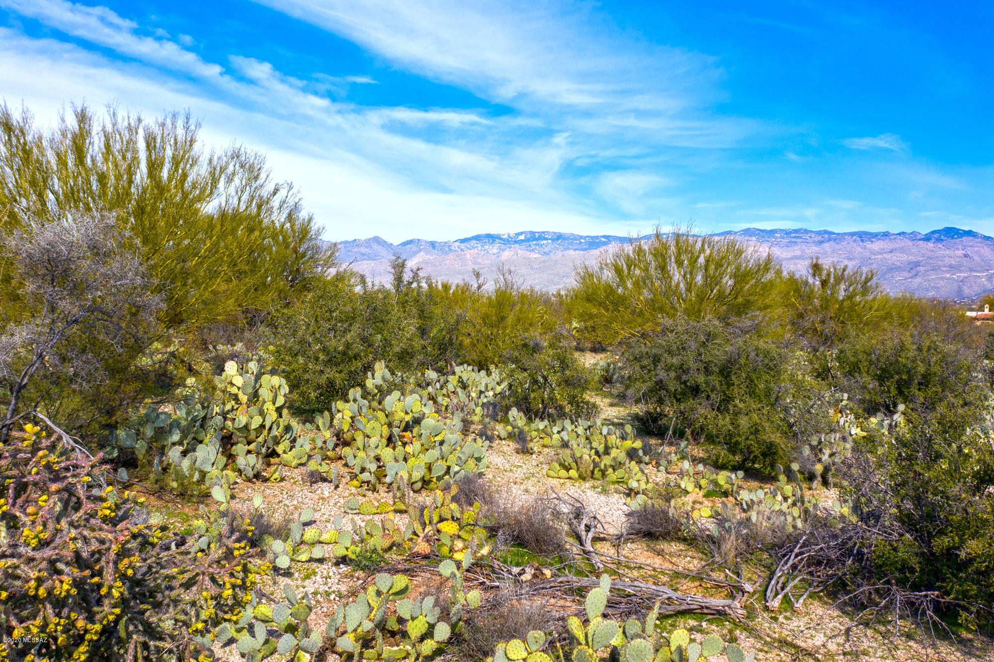 Wild Horse Ranch Estates (1-66) - Land