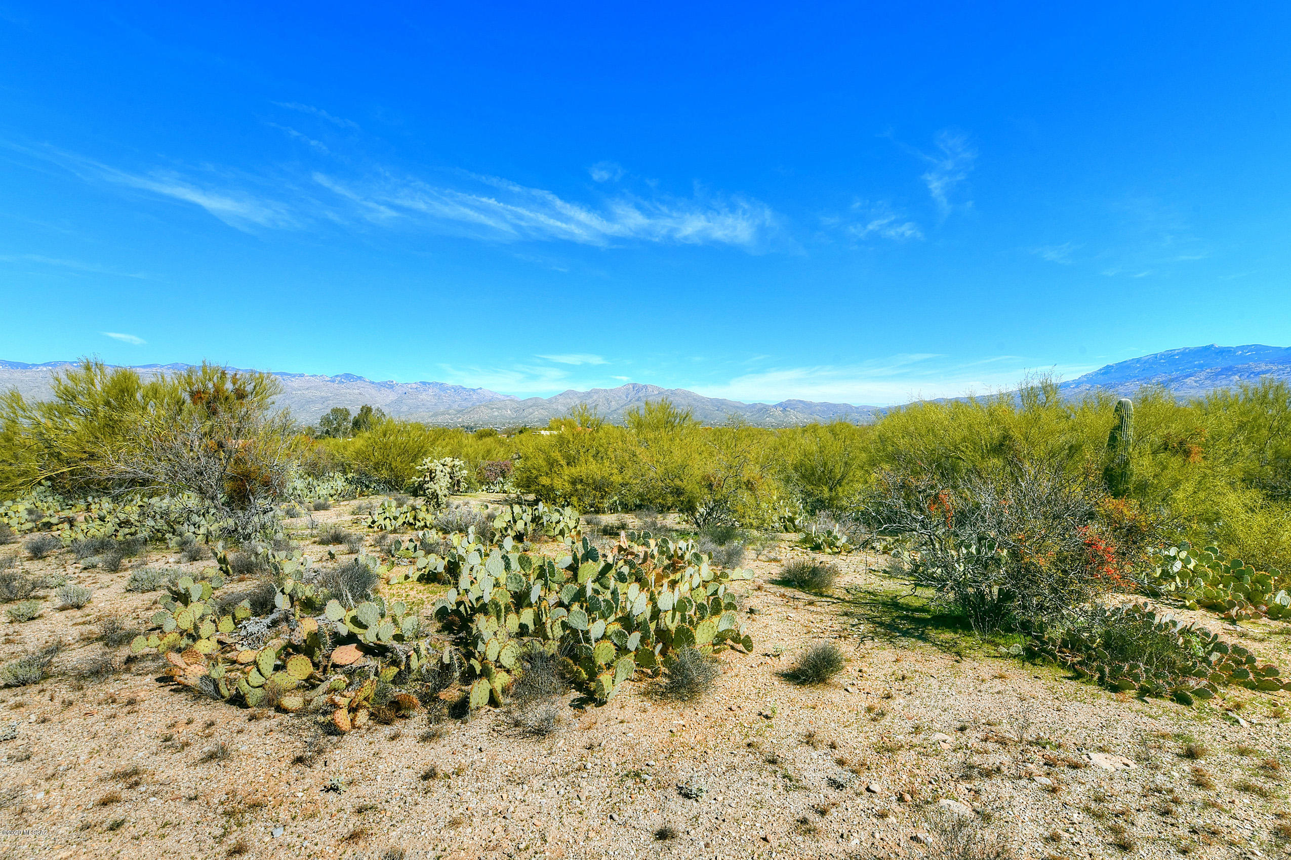 Wild Horse Ranch Estates (1-66) - Land