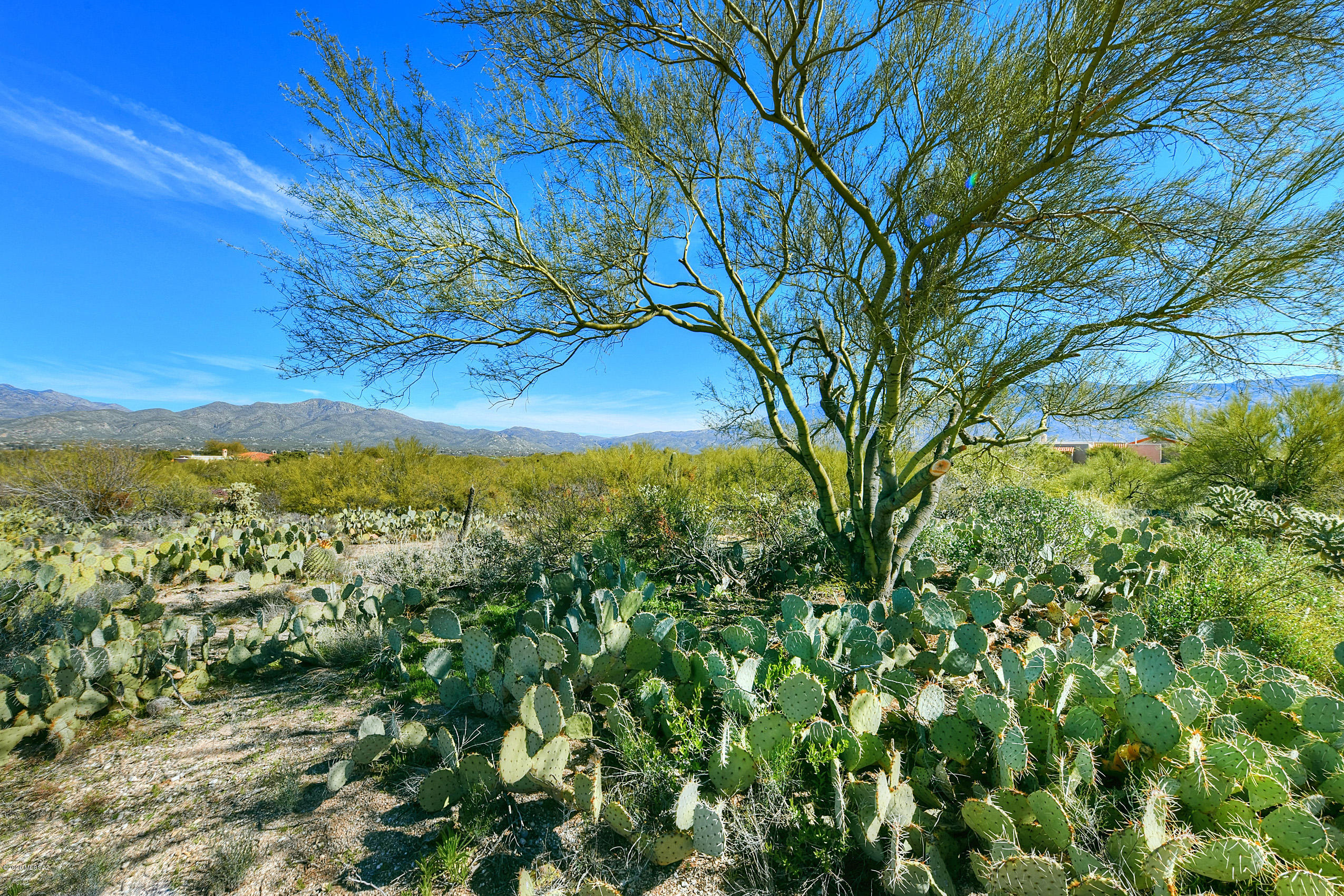 Wild Horse Ranch Estates (1-66) - Land