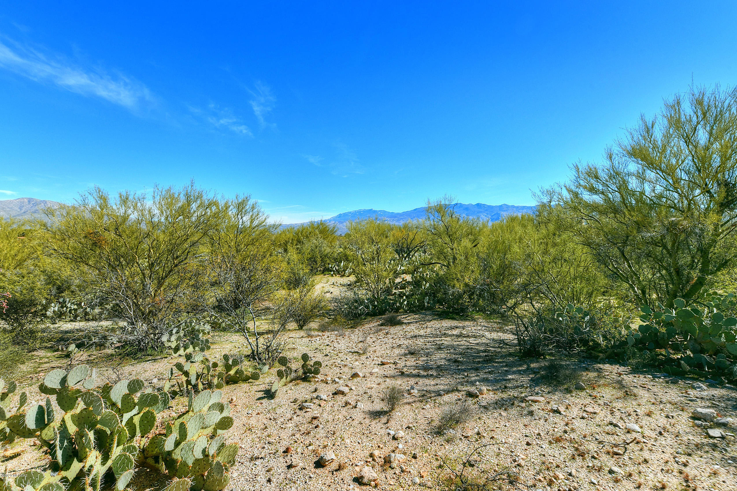 Wild Horse Ranch Estates (1-66) - Land